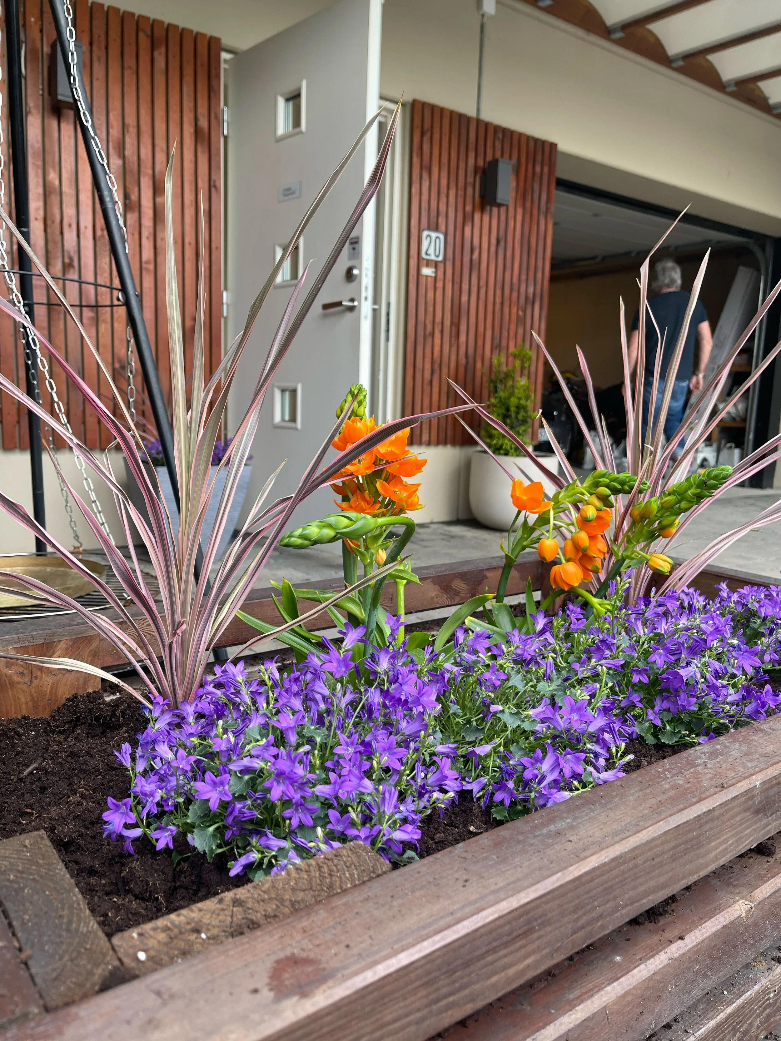 blomster8.jpg