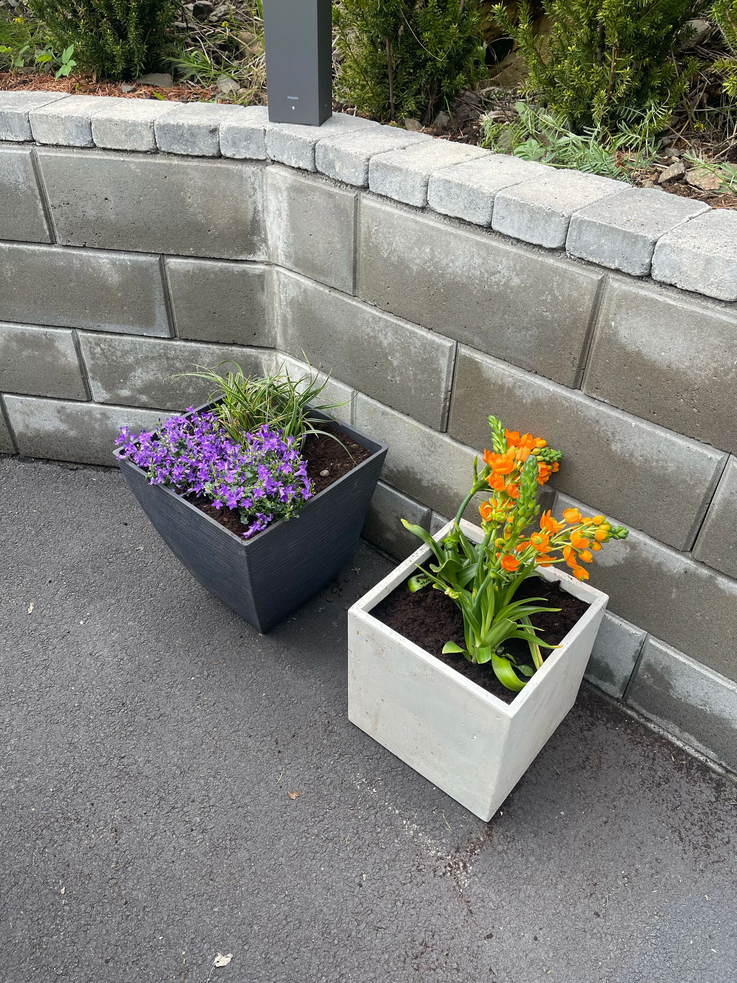blomster12.jpg