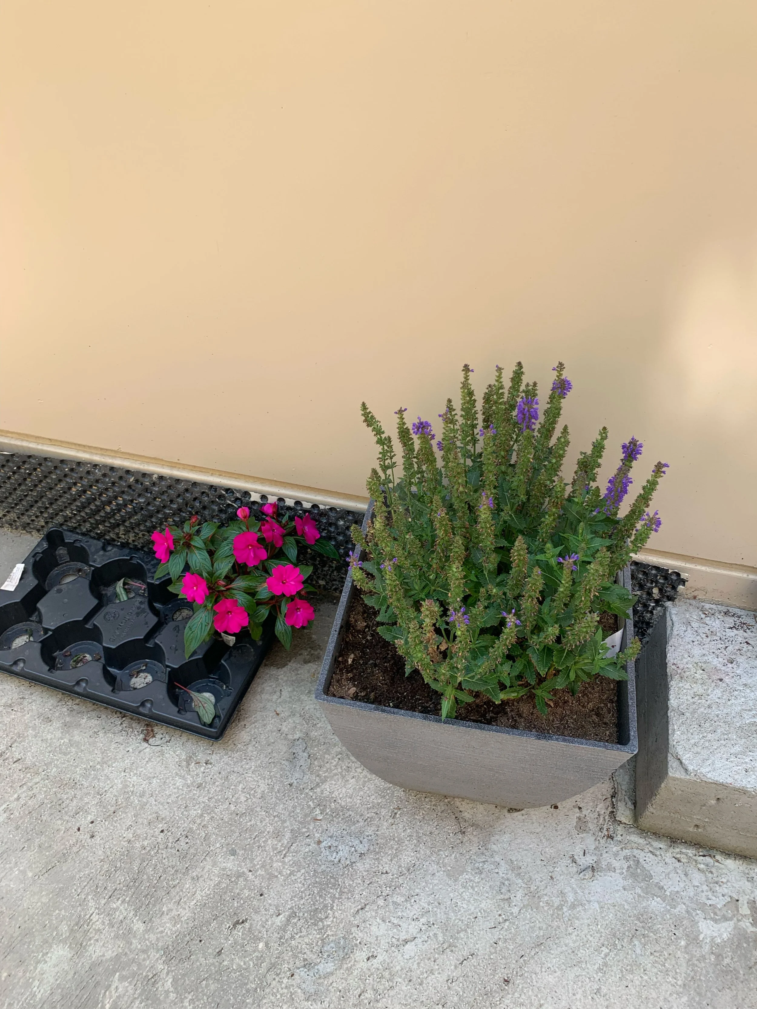 blomster3.jpg