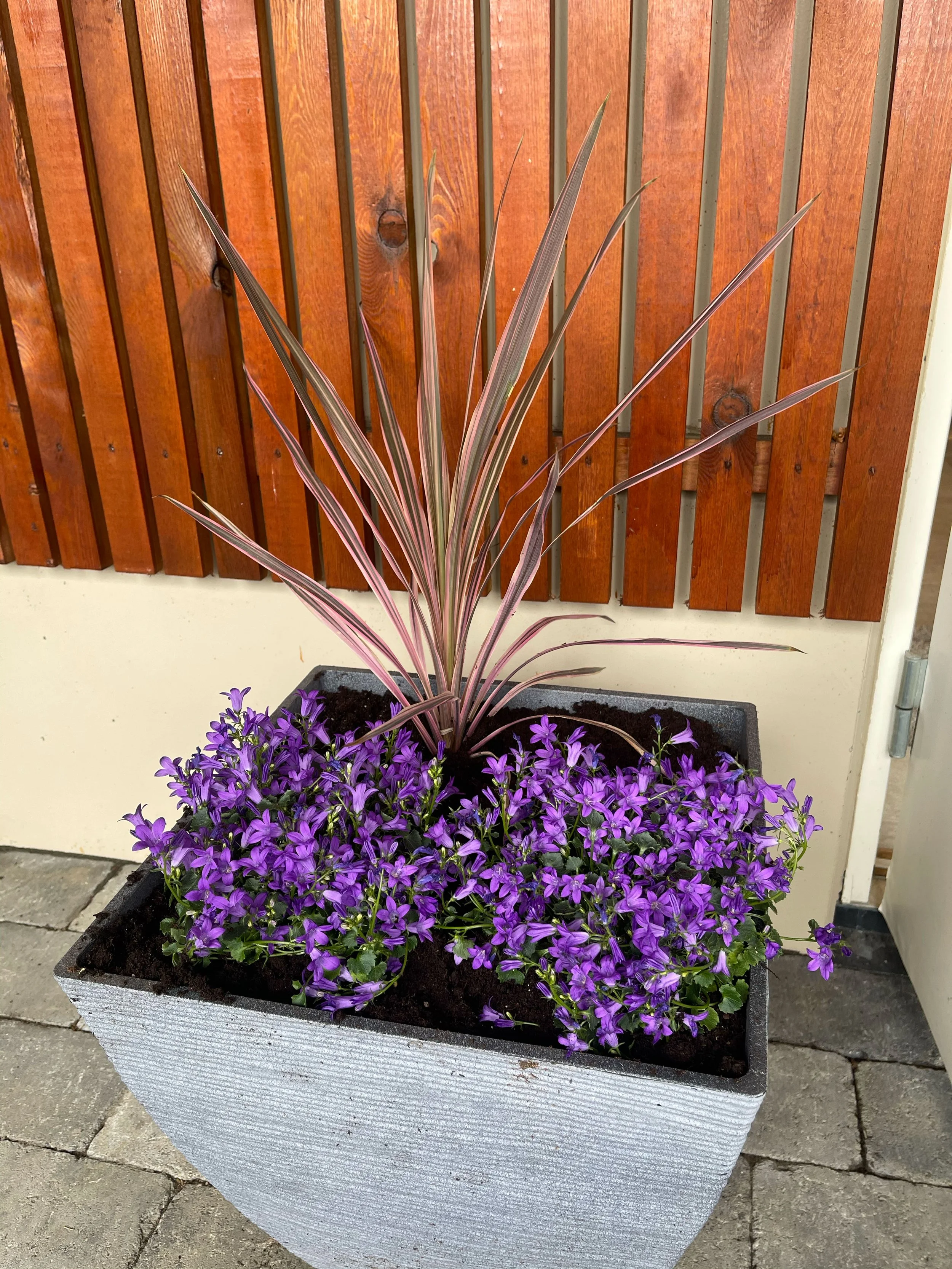 blomster10.jpg