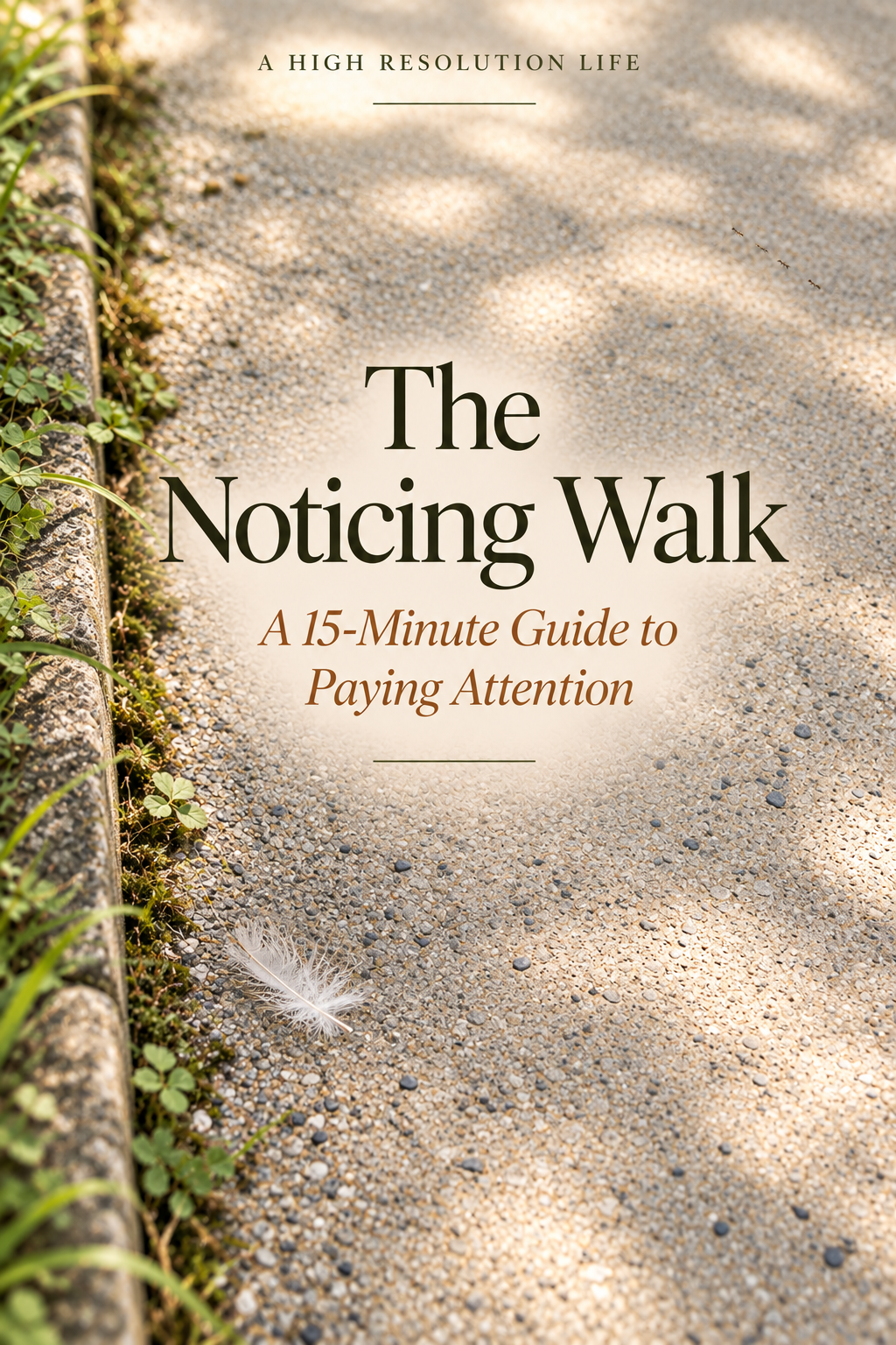 The Noticing Walk
