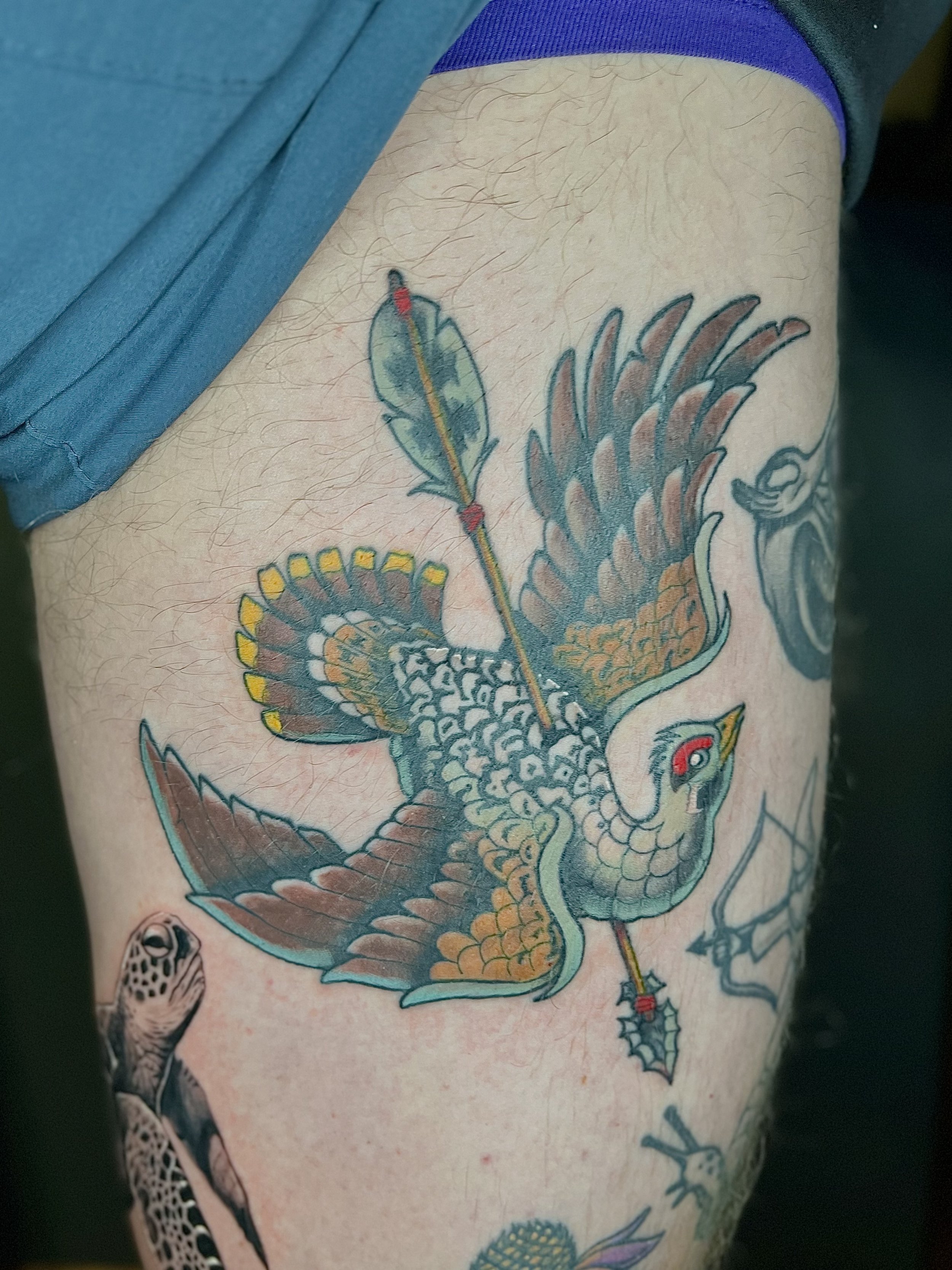 Colorful tattoo of a phoenix with an arrow in its beak on a person's upper arm.