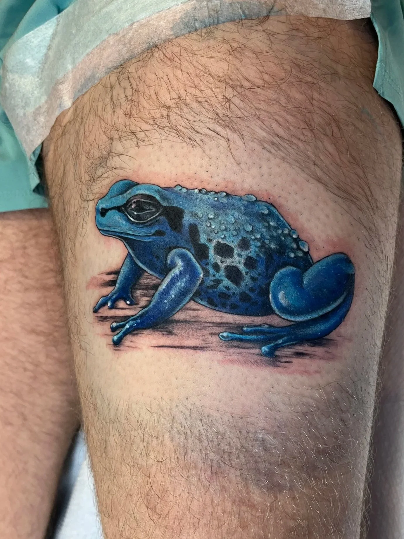 Tattoo of a blue frog on person's arm