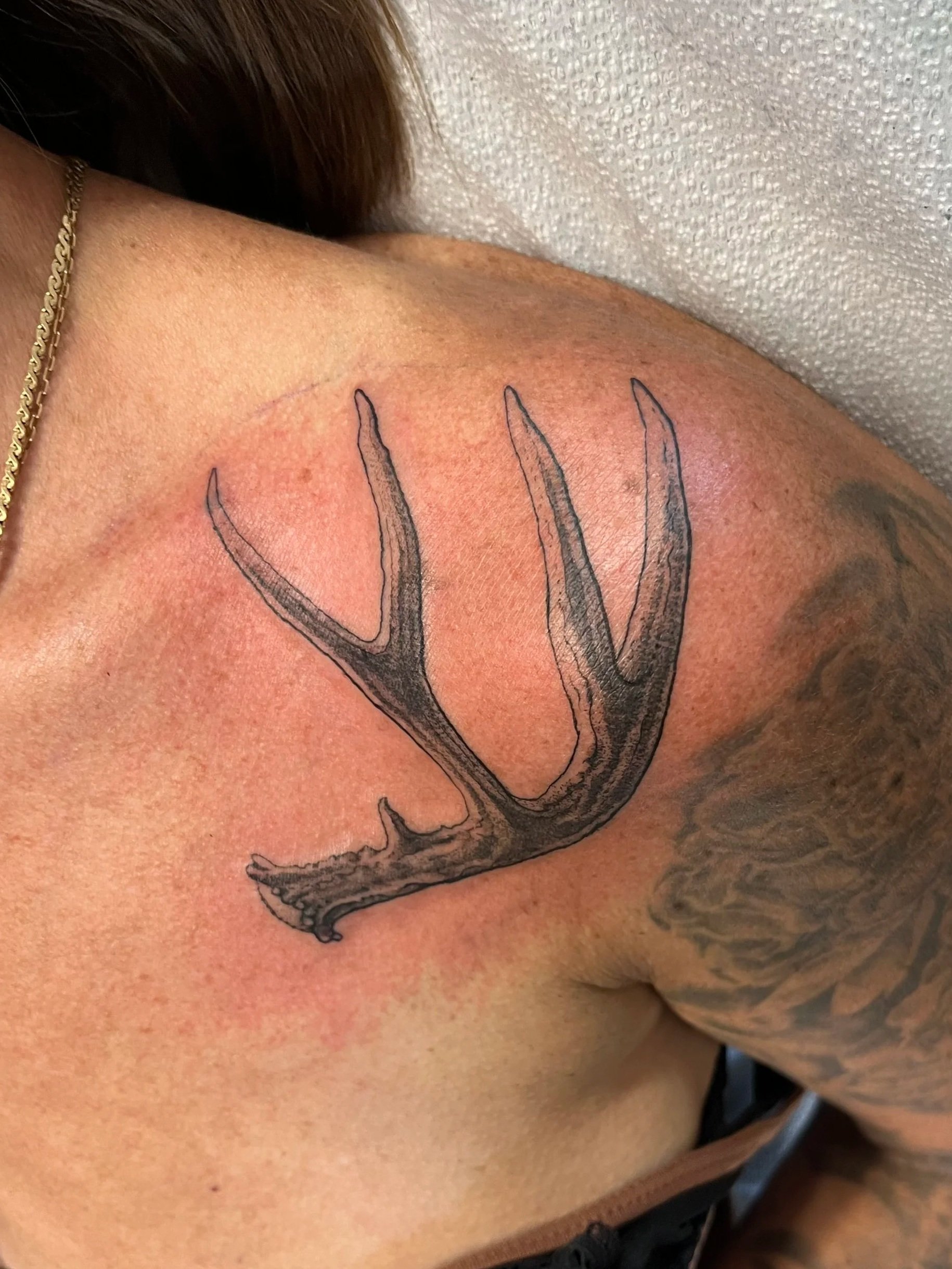 Tattoo of a deer skull with antlers on person's shoulder.