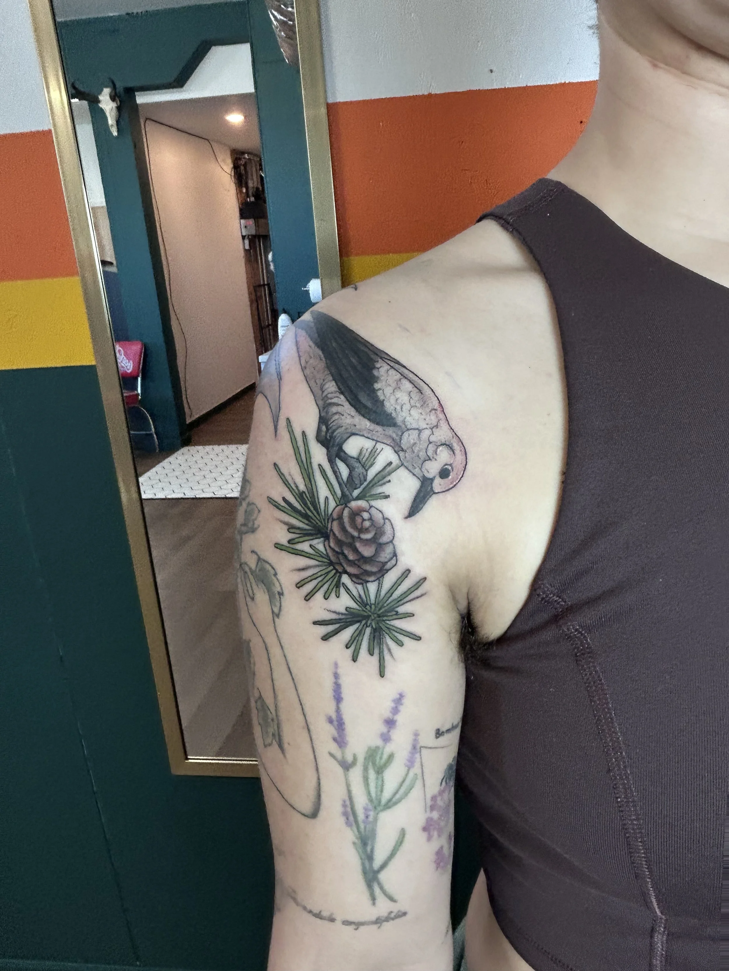A person's upper arm with a colorful tattoo of a bird, pine cone, and branches. The person is wearing a dark sleeveless shirt and standing in front of a mirror.