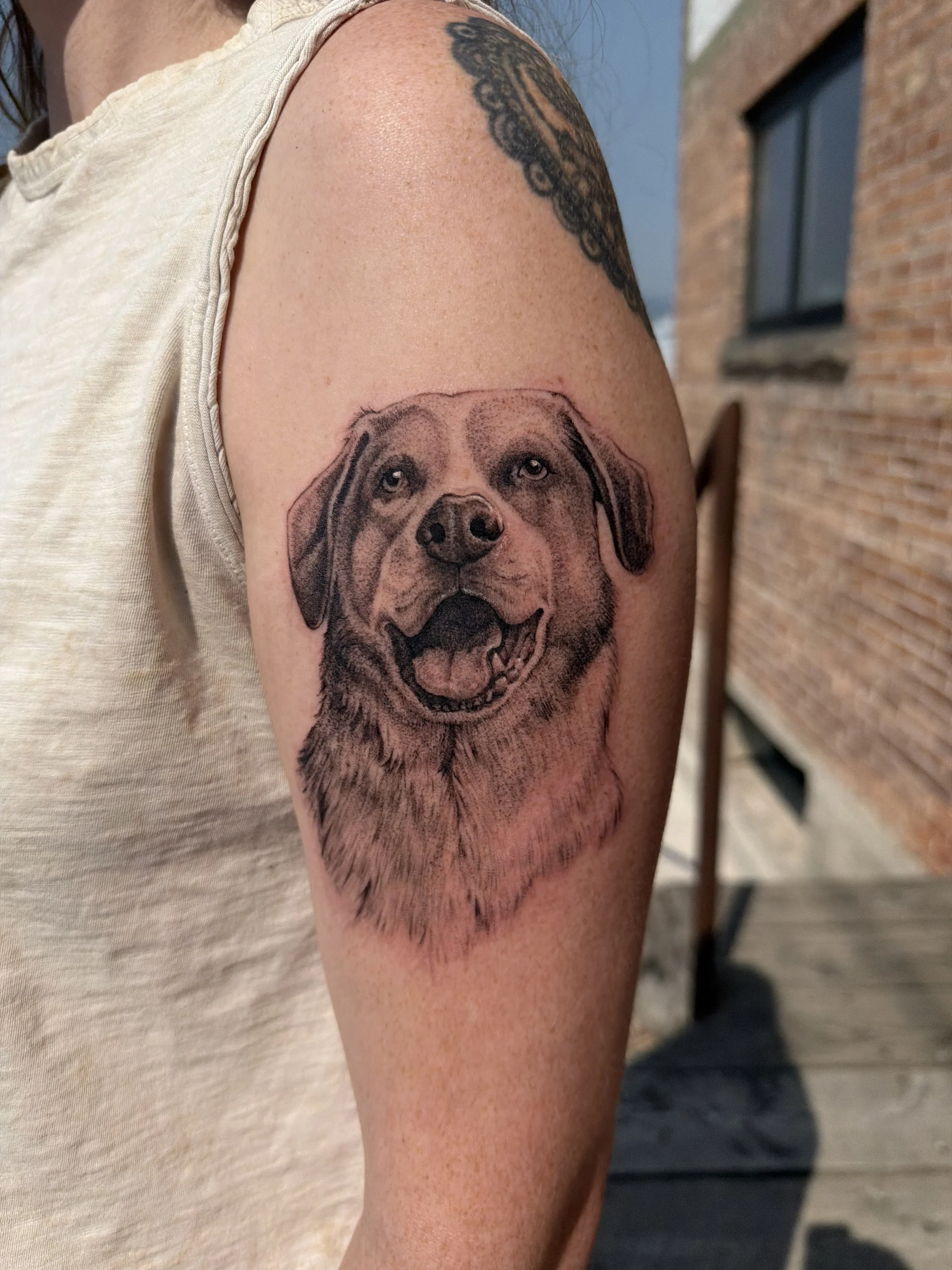 A tattoo of a dog's face, appearing to be a Labrador Retriever, on a person's upper arm.