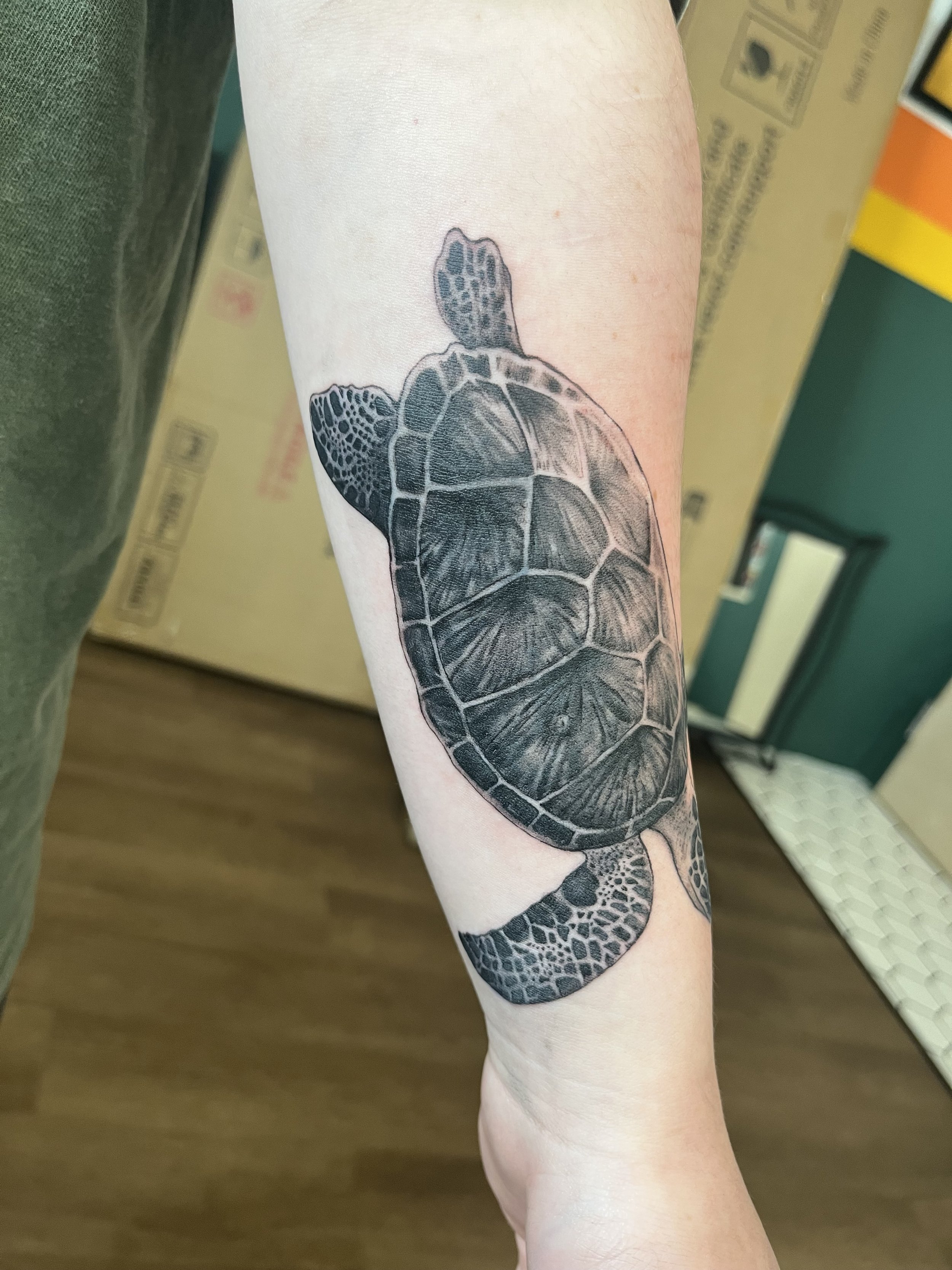 A detailed black and gray tattoo of a sea turtle on a person's forearm, with intricate shell patterns and flippers.