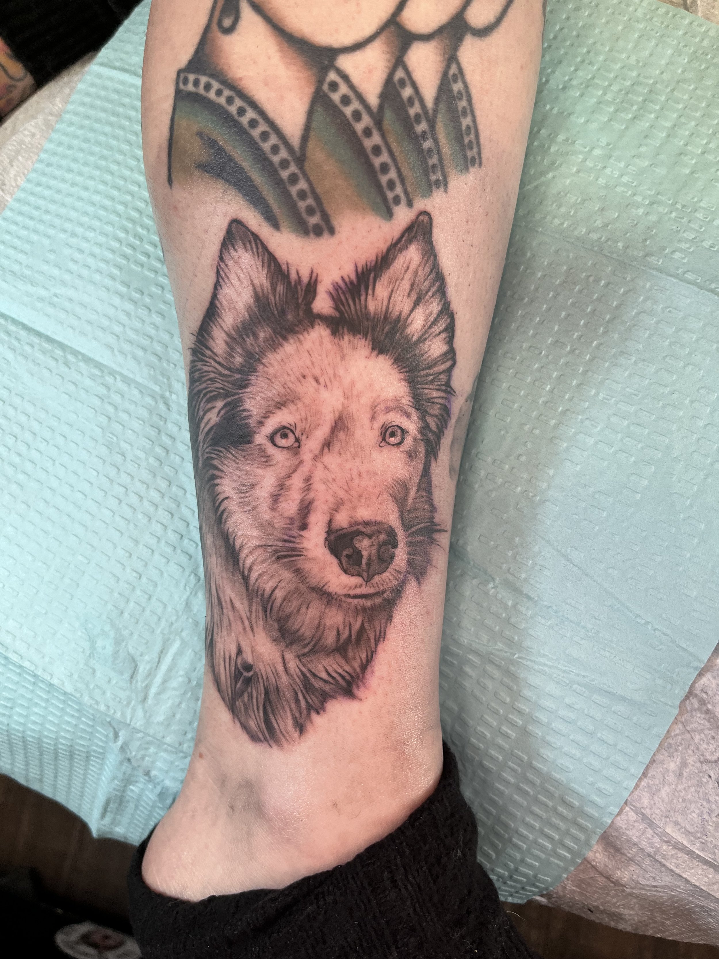 Tattoo of a realistic wolf's face on an arm, with detailed fur and piercing eyes.