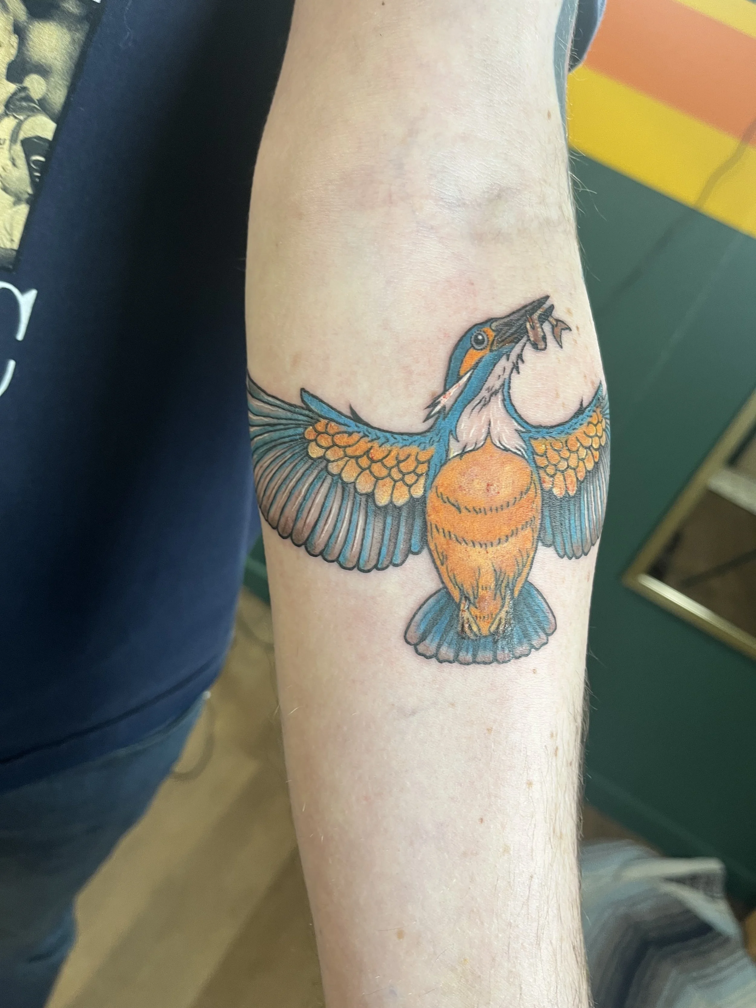 Tattoo of a blue and orange bird with open wings on a person's forearm.