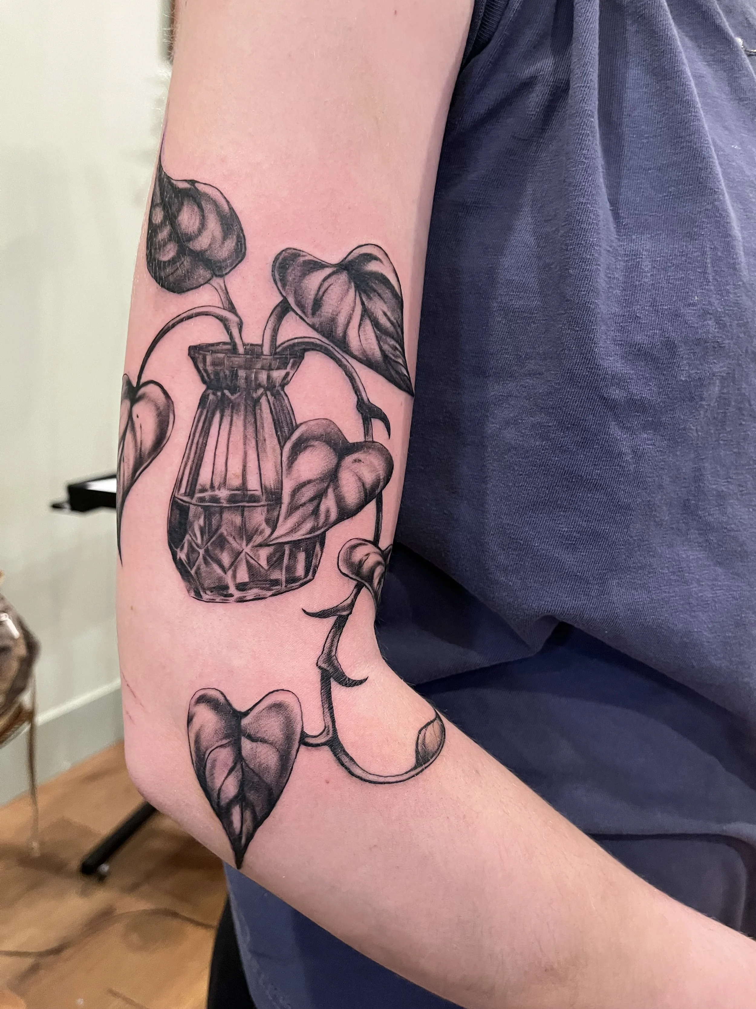 Black and gray tattoo of a potted plant with large, heart-shaped leaves on person's upper arm.