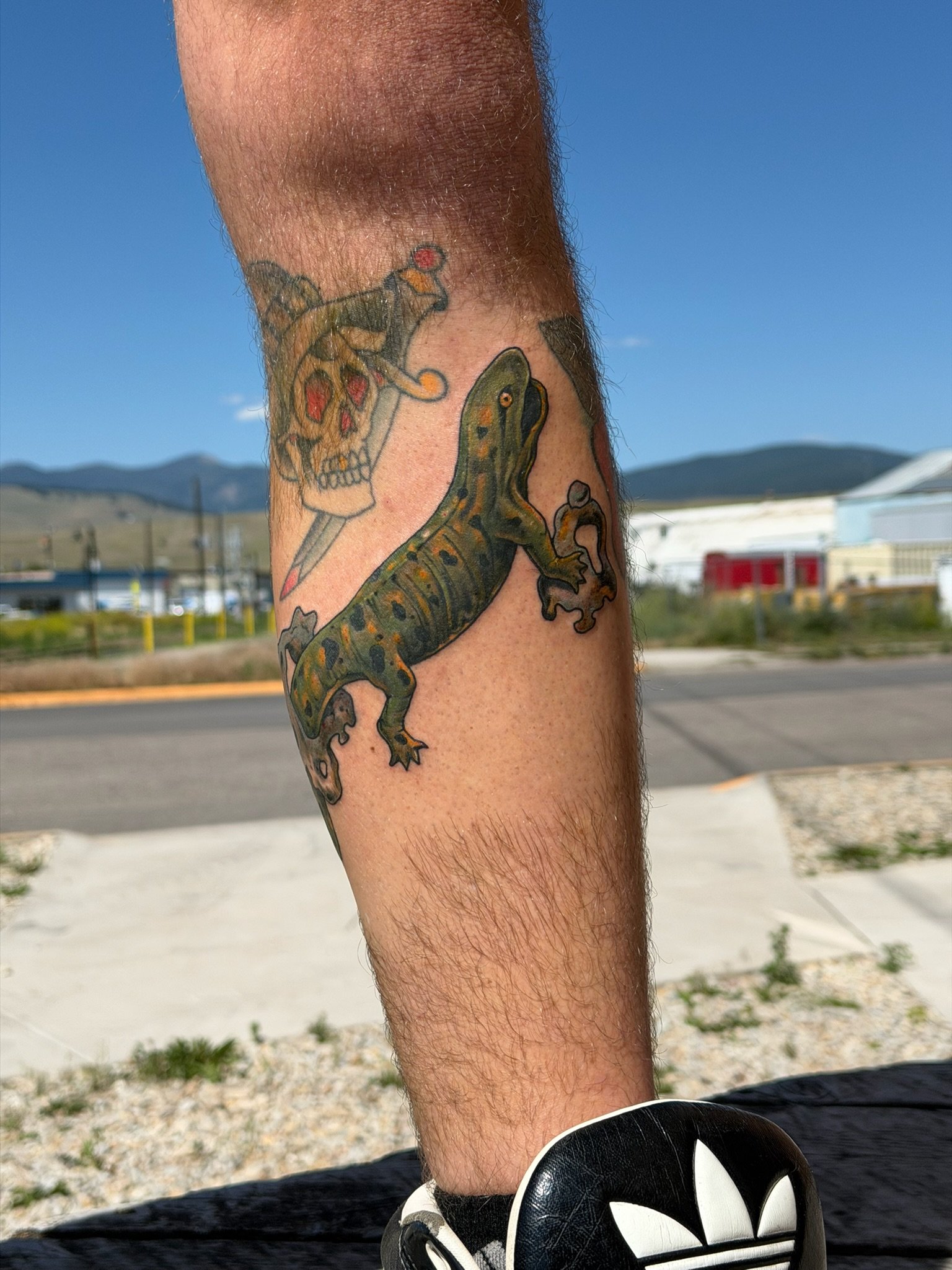 Tattoo of a skull with a butterfly on top and a lizard on the side on a person's leg outdoors