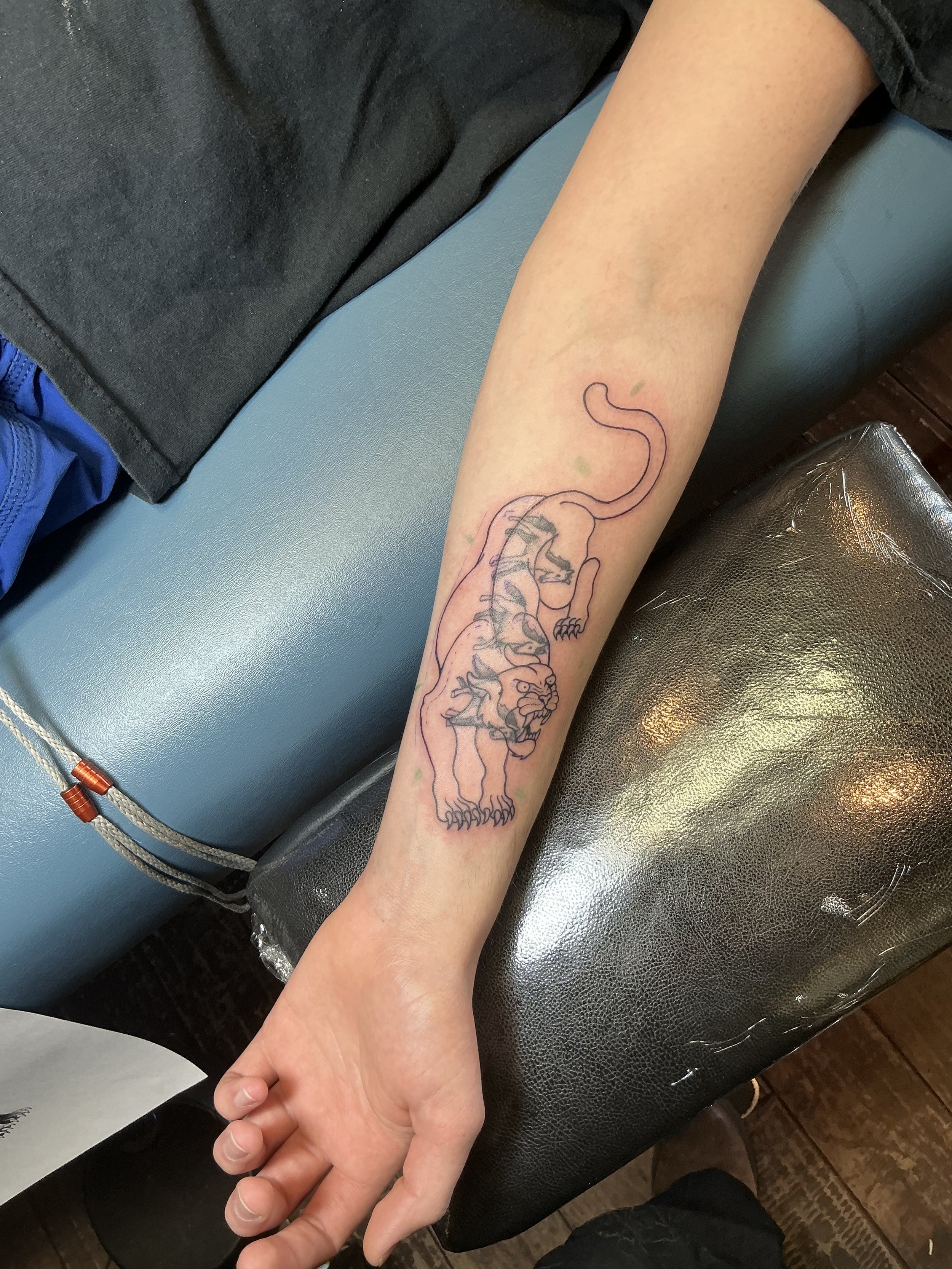 A person's arm resting on a black surface with a fresh tattoo of a panther or leopard along the forearm, featuring the animal in a crouching or stalking pose.