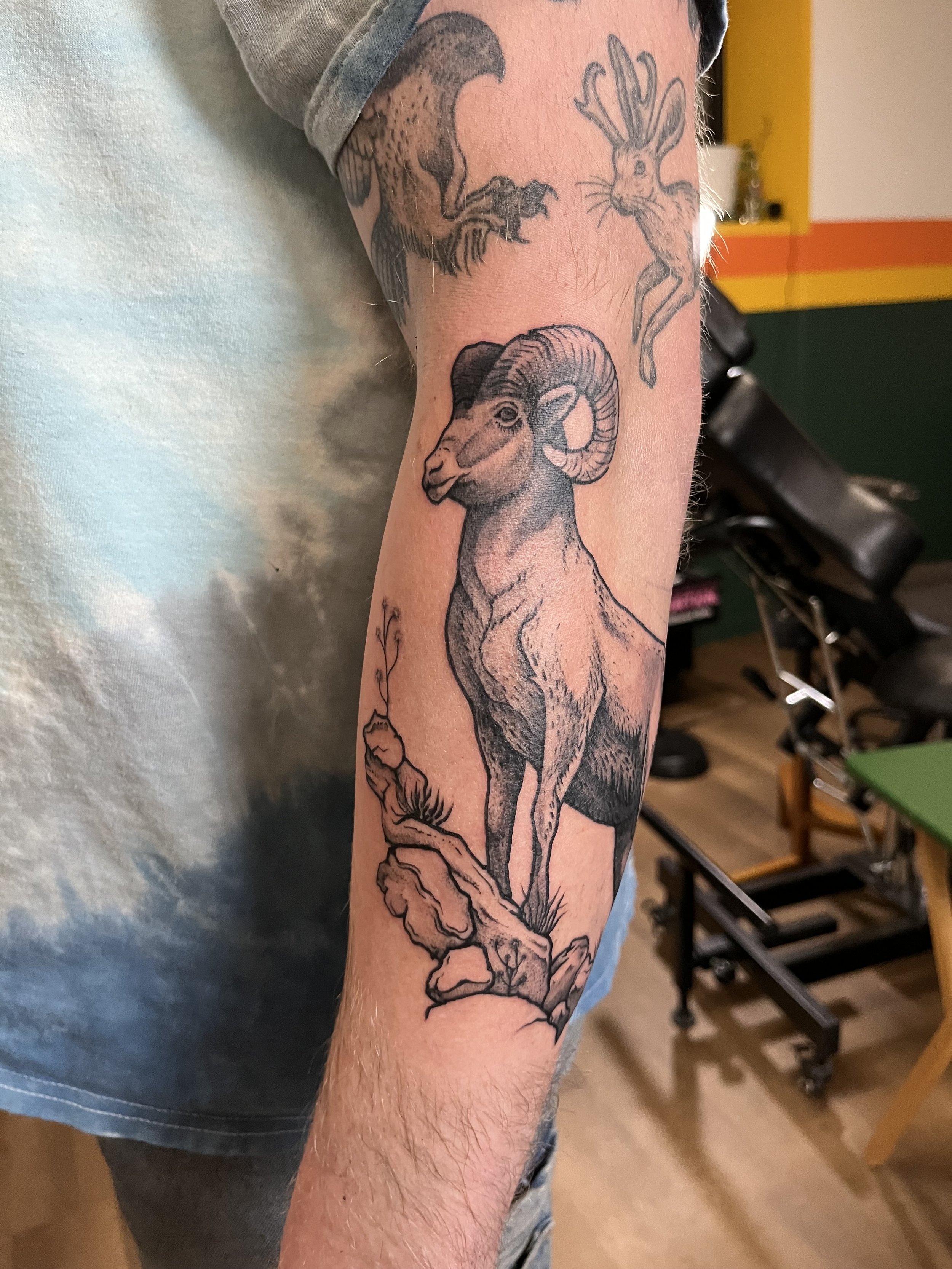 Tattoo of a ram's head with large, curved horns on a person's arm, with detailed shading.