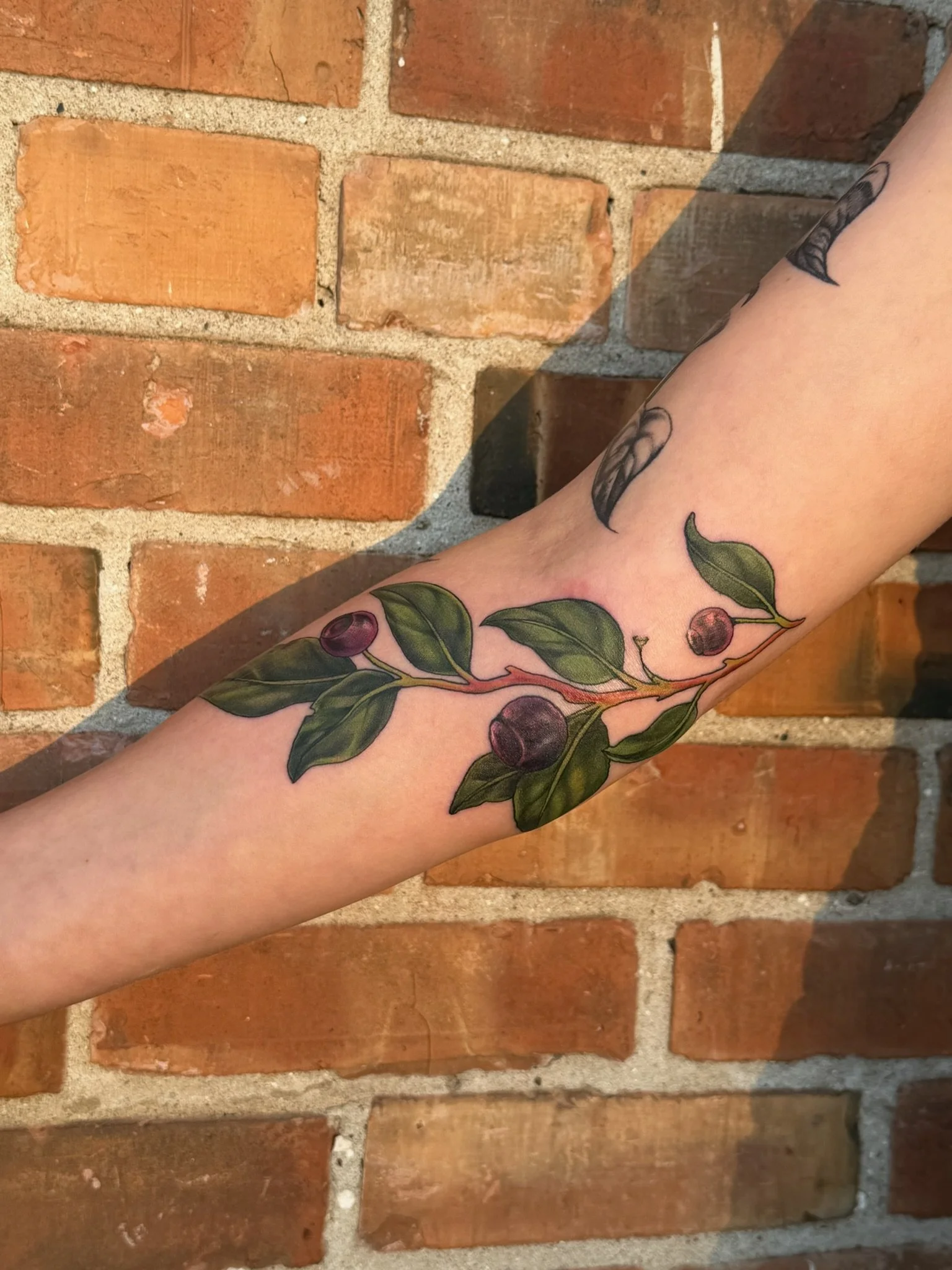 Close-up of a person's arm with a colorful tattoo of branches, leaves, and berries resting against a red brick wall.