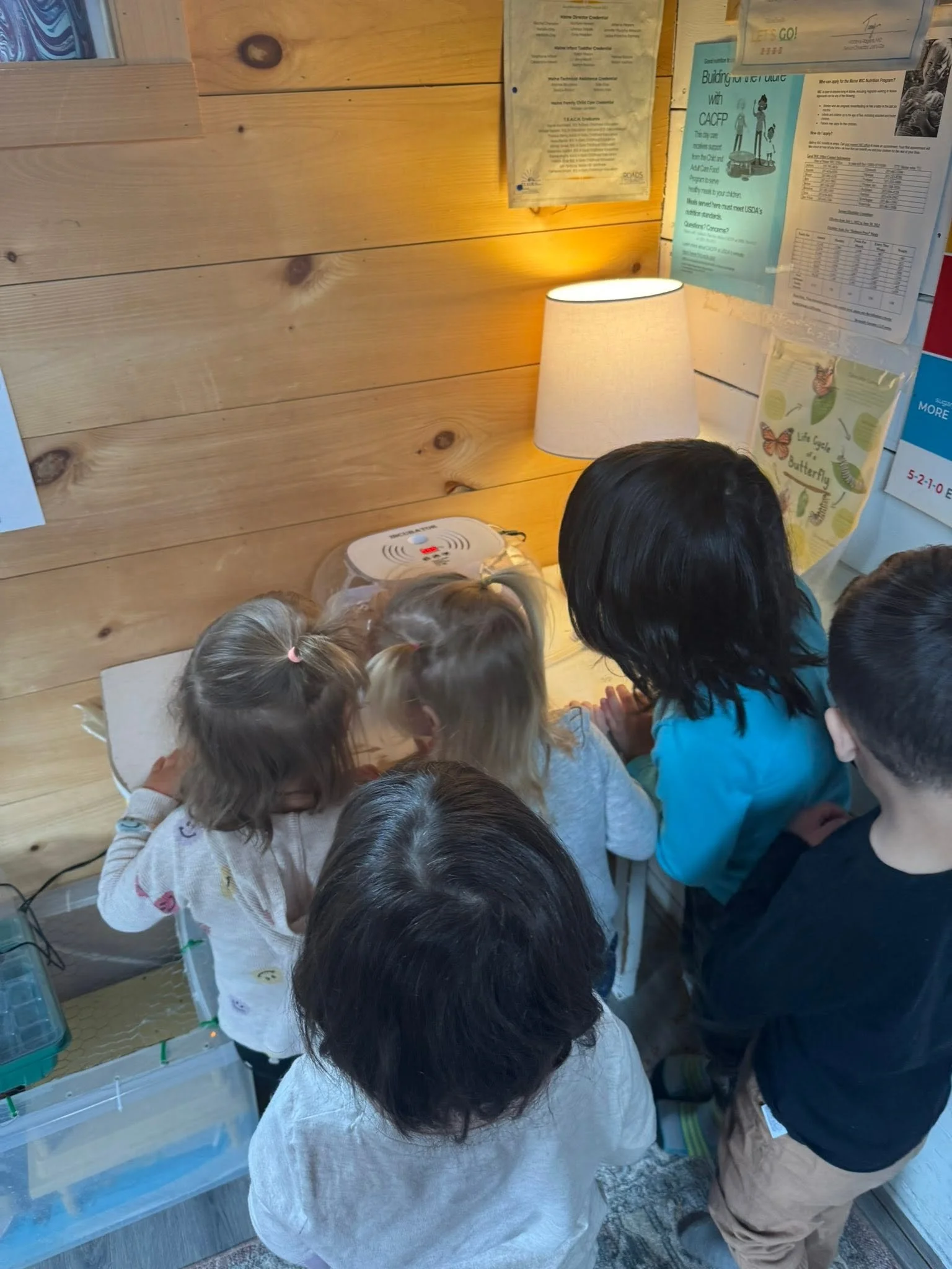 A group of children gathered around a small enclosure with plastic containers, looking inside at something. An adult is supervising them, and the setting appears to be an indoor educational or recreational space with a wooden wall, bulletin boards, a
