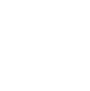 A white silhouette of a bird on a black background.