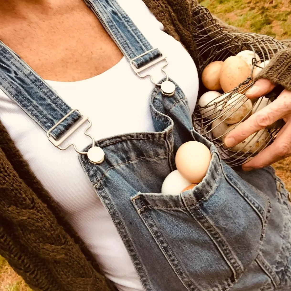 A person wearing denim overalls with a white shirt underneath, holding a wire basket of eggs, with some eggs in the front pocket of the overalls, and wearing a brown sweater.