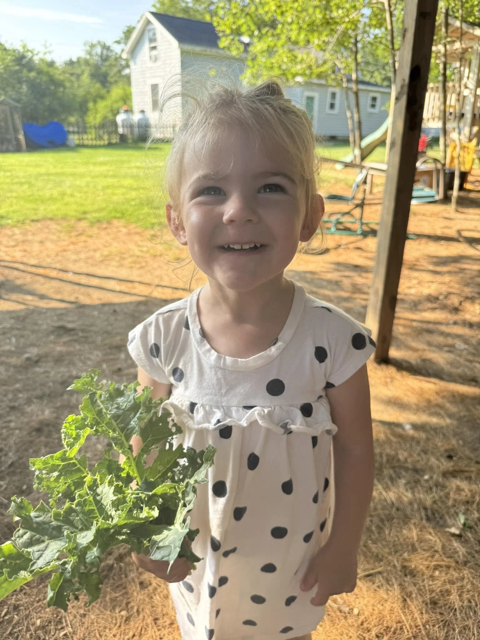 A young girl with blonde hair, wearing a white dress with black polka dots, holding a leafy green vegetable, standing outside near a playground and a house on a sunny day.