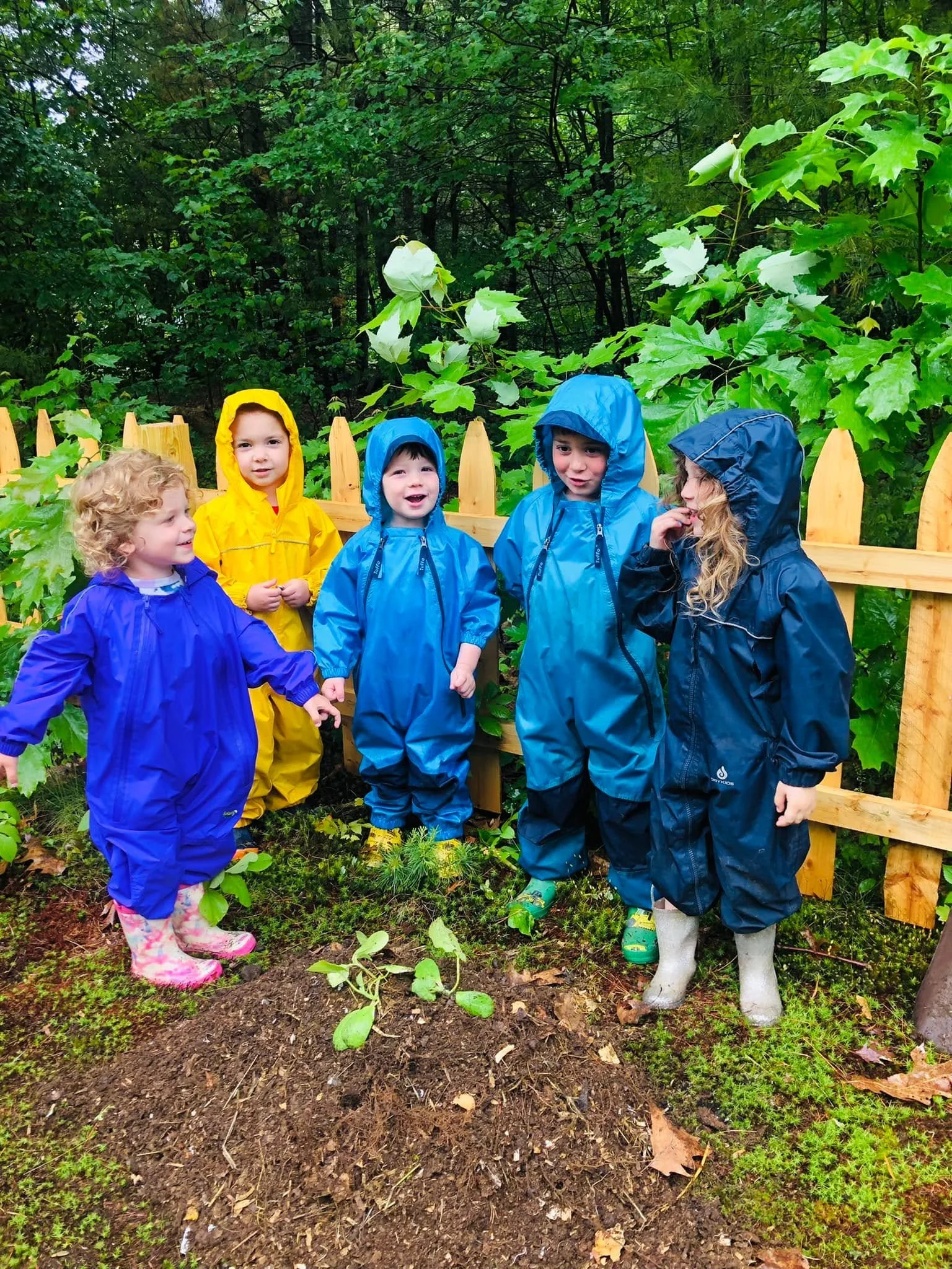 A group of five children wearing colorful raincoats and boots standing outdoors in a wooded area with green foliage and a wooden fence behind them.