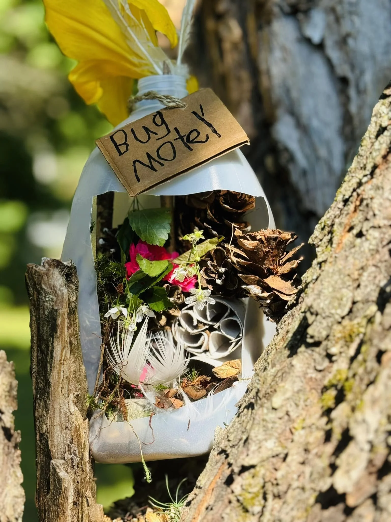 A small memorial or offering placed on a tree, with a cardboard sign reading 'Bug Note!' attached to a plastic bottle, surrounded by flowers, pinecones, and natural elements.
