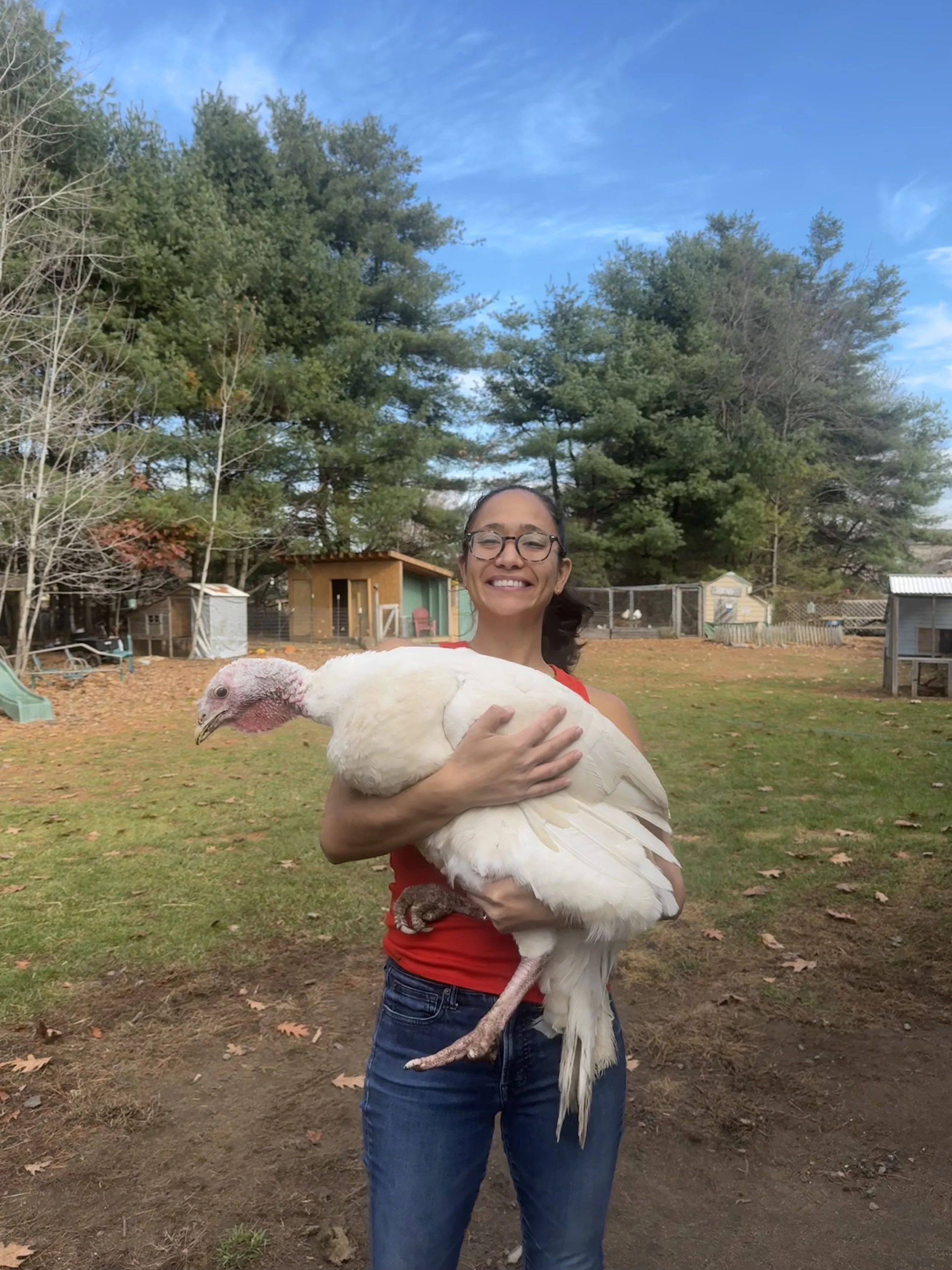 A smiling woman with glasses wearing a red shirt and blue jeans is holding a large white turkey in a backyard with trees, a small shed, and a clear sky.