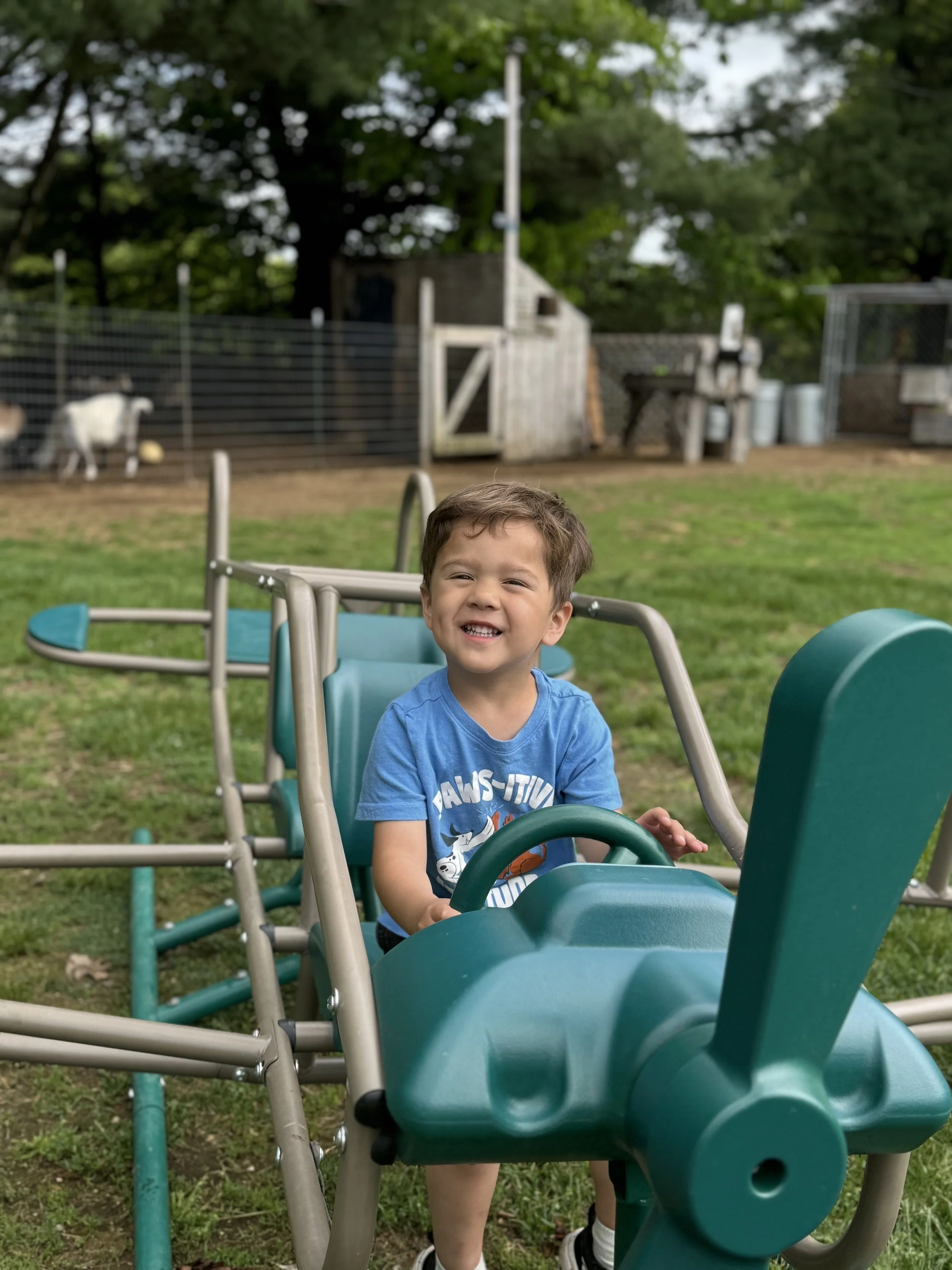 Young boy with a big smile sitting on a toy slide in a backyard with a fenced goat and trees in the background.