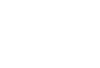 Silhouette of a bird with a geometric, angular design in black and white.