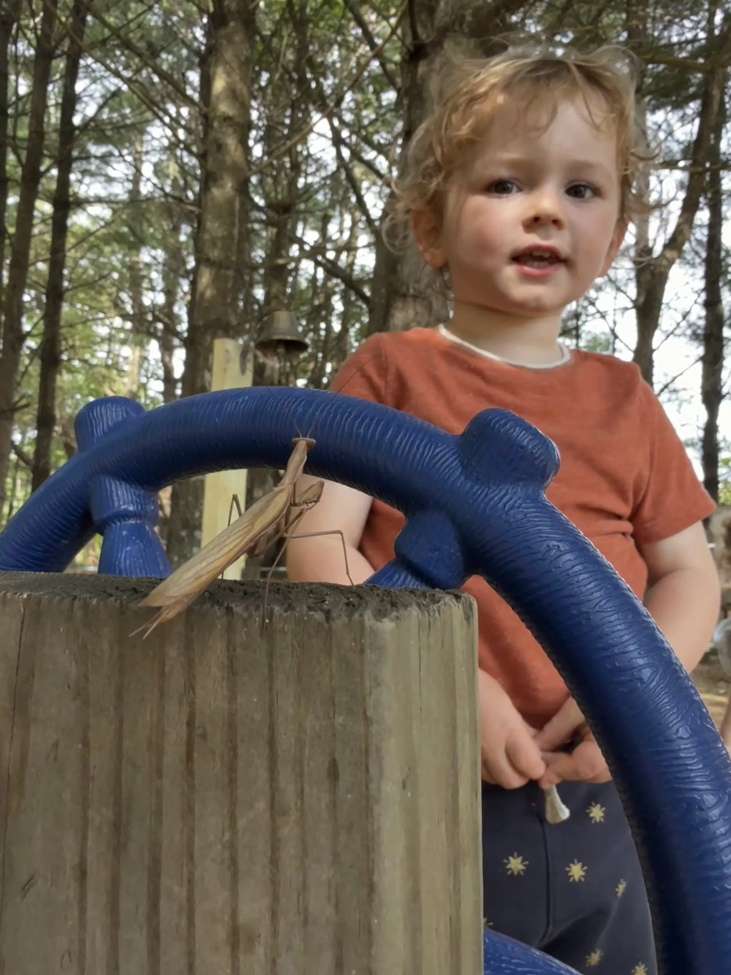 A young boy with curly red hair standing outdoors in a wooded area, near a wooden post with a blue hose or garden tubing draped over it.