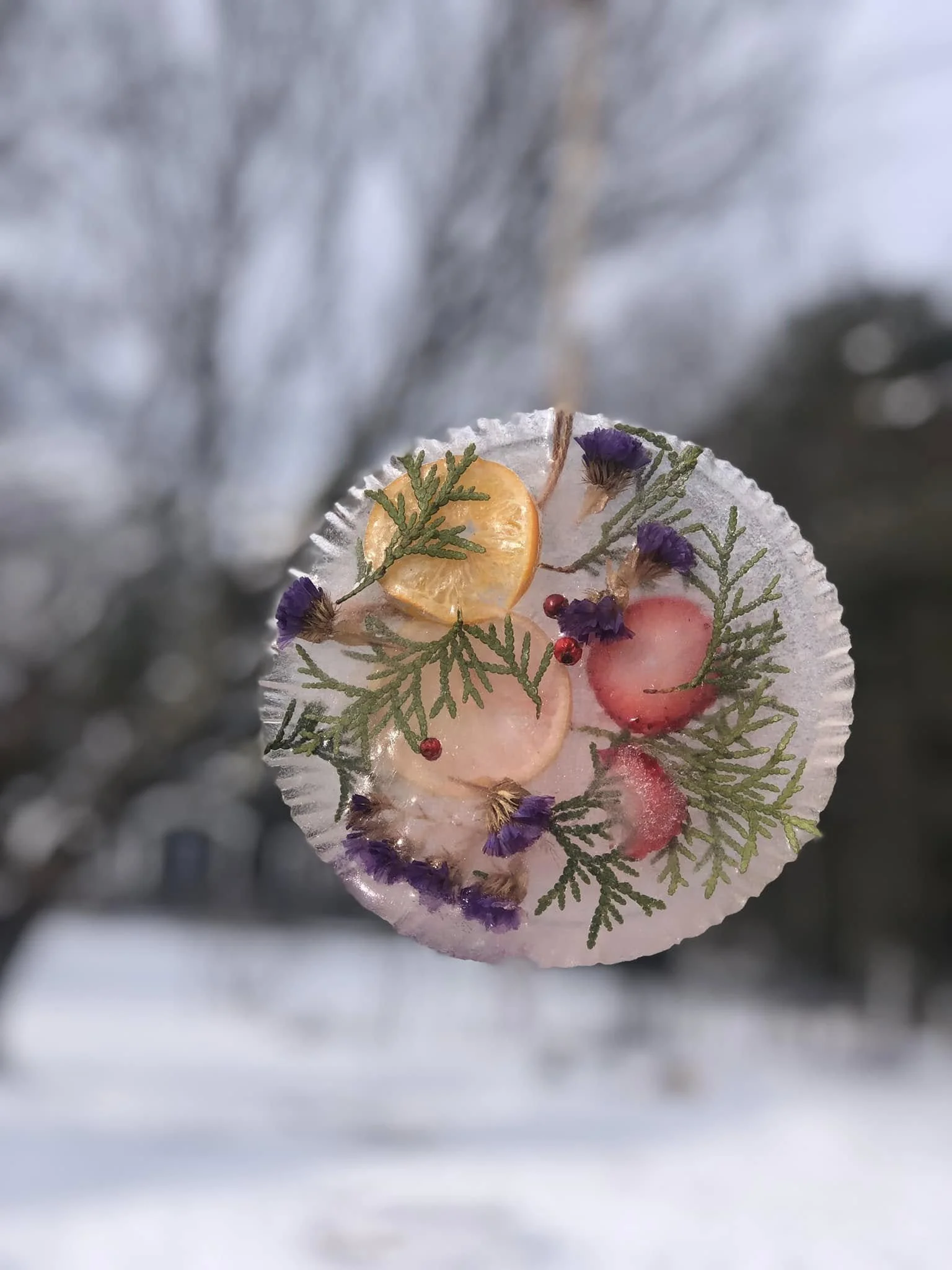 Close-up of a decorated cupcake inside a paper liner, with dried lemon slices, purple flowers, red berries, and green foliage on top.