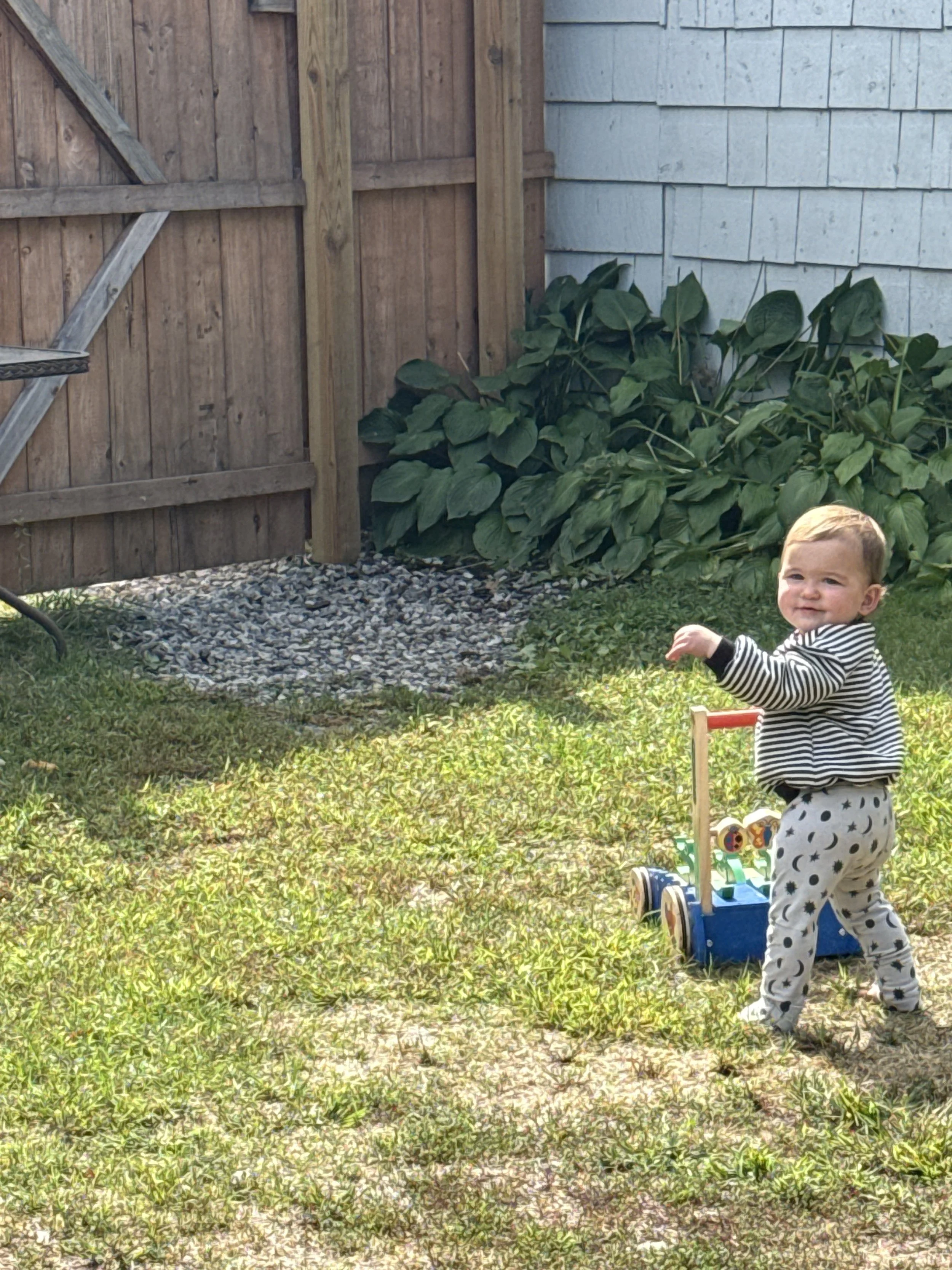 A toddler with blonde hair, wearing a black and white striped shirt and polka dot pants, is standing outdoors on a grassy area, smiling and looking slightly to the right, holding a blue toy cart. In the background, there is a wooden fence with a gate
