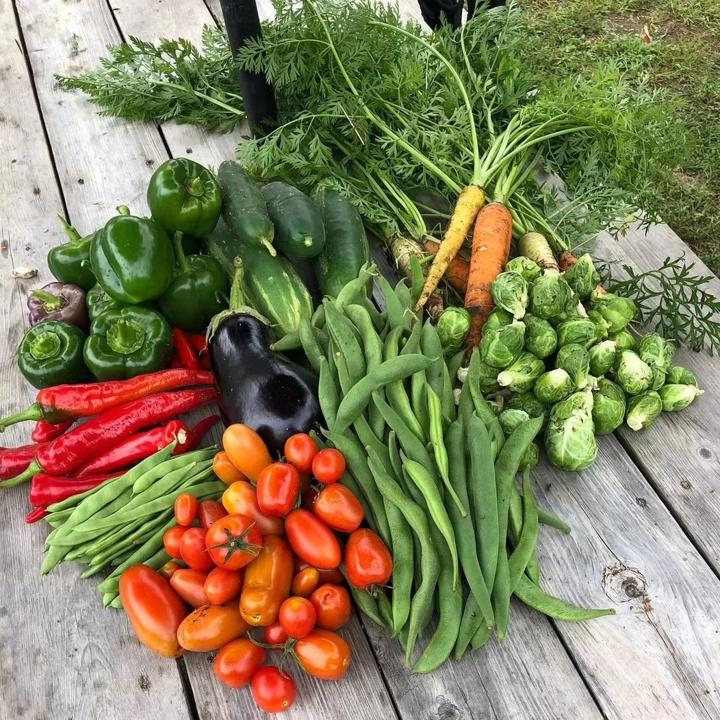 An assortment of fresh garden vegetables, including green bell peppers, chilli peppers, tomatoes, cucumbers, an eggplant, green beans, Brussels sprouts, carrots, and carrots with leafy greens grown at 4 Saco Street in Scarborough, ME at Soreil Farm