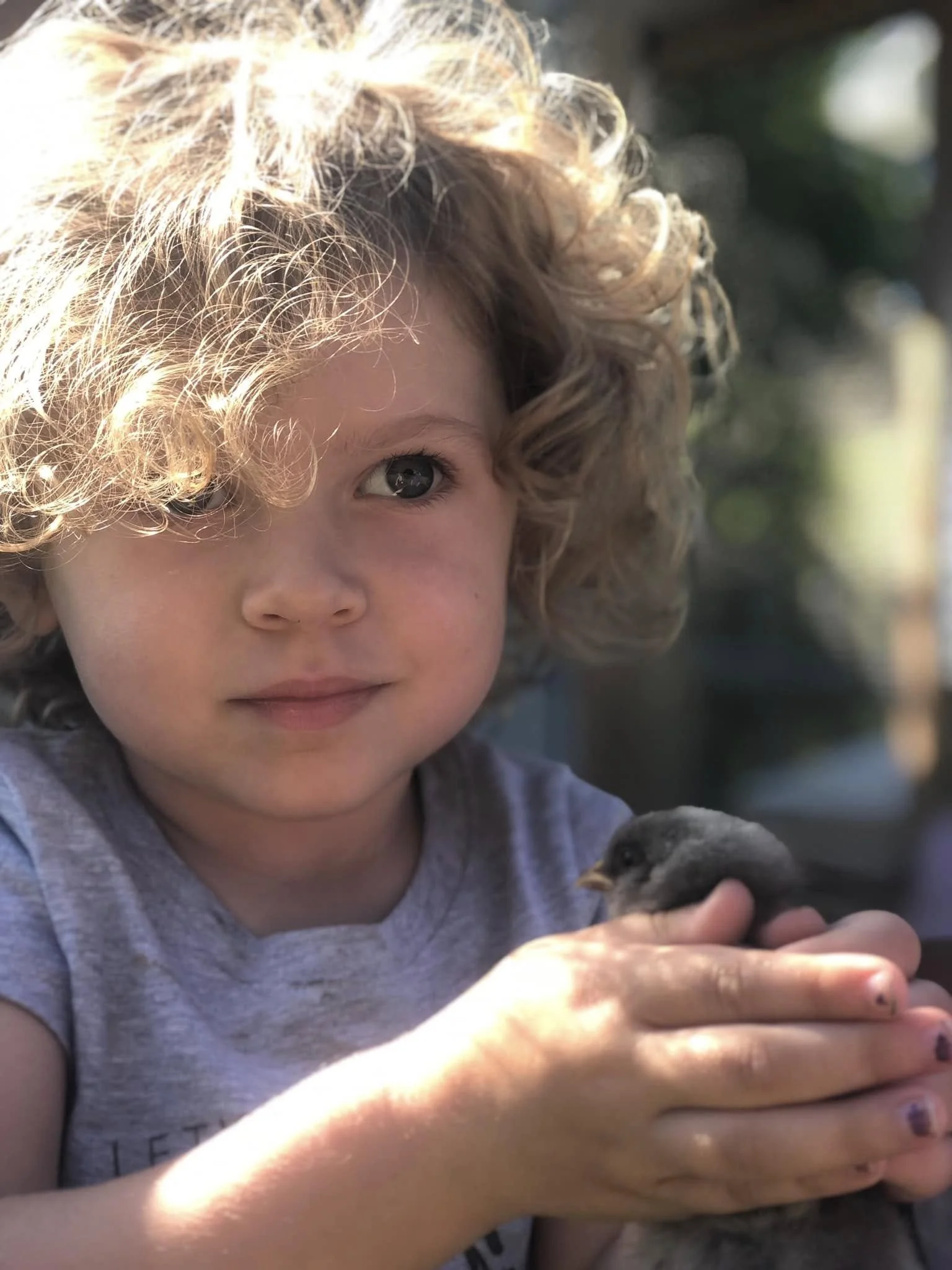A young girl with curly blonde hair and blue eyes holding a small chick in her hand outdoors.