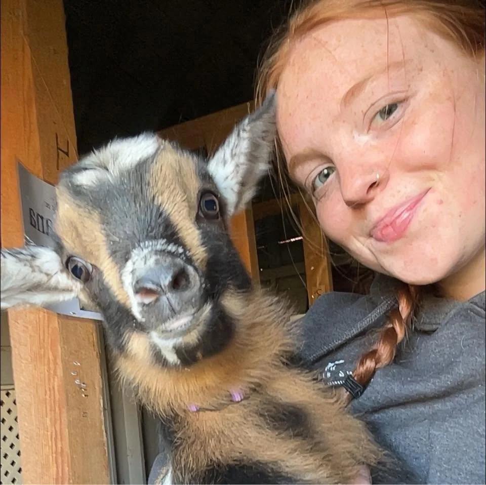A young woman with red hair and freckles holding a small, fluffy, multicolored goat on her shoulder.