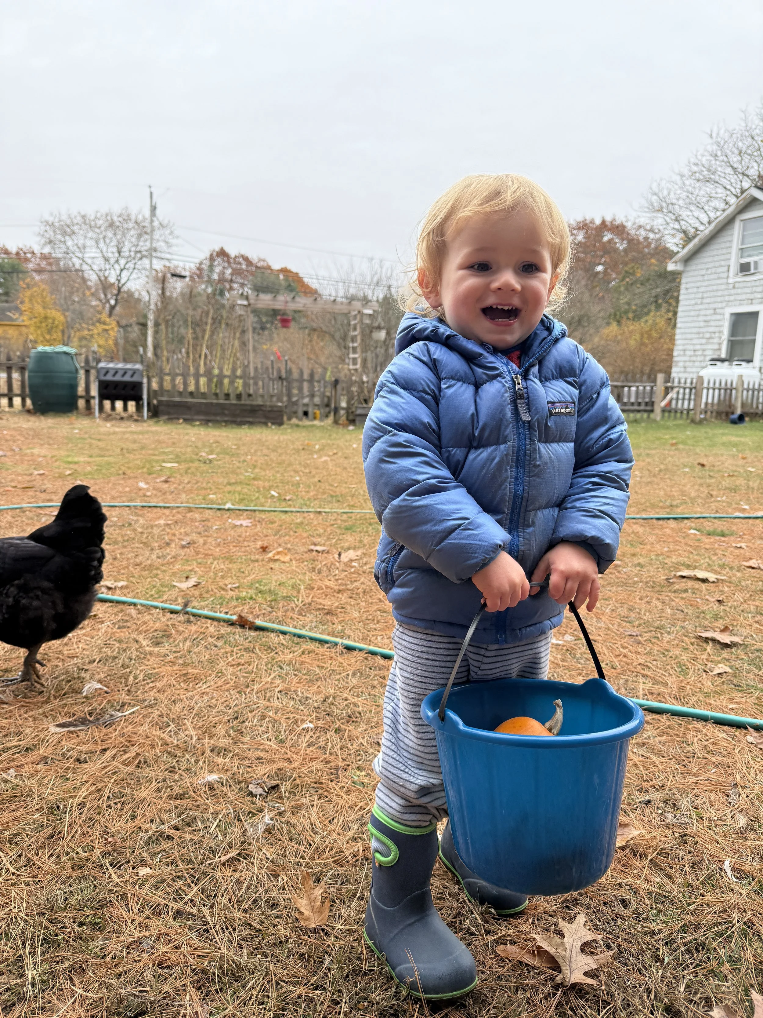 A young child with blonde hair wearing a blue puffer jacket, striped pants, and rain boots standing outdoors on a fall day, holding a blue bucket with a pumpkin inside. There are trees with autumn foliage, a white house, and a wooden fence in the bac
