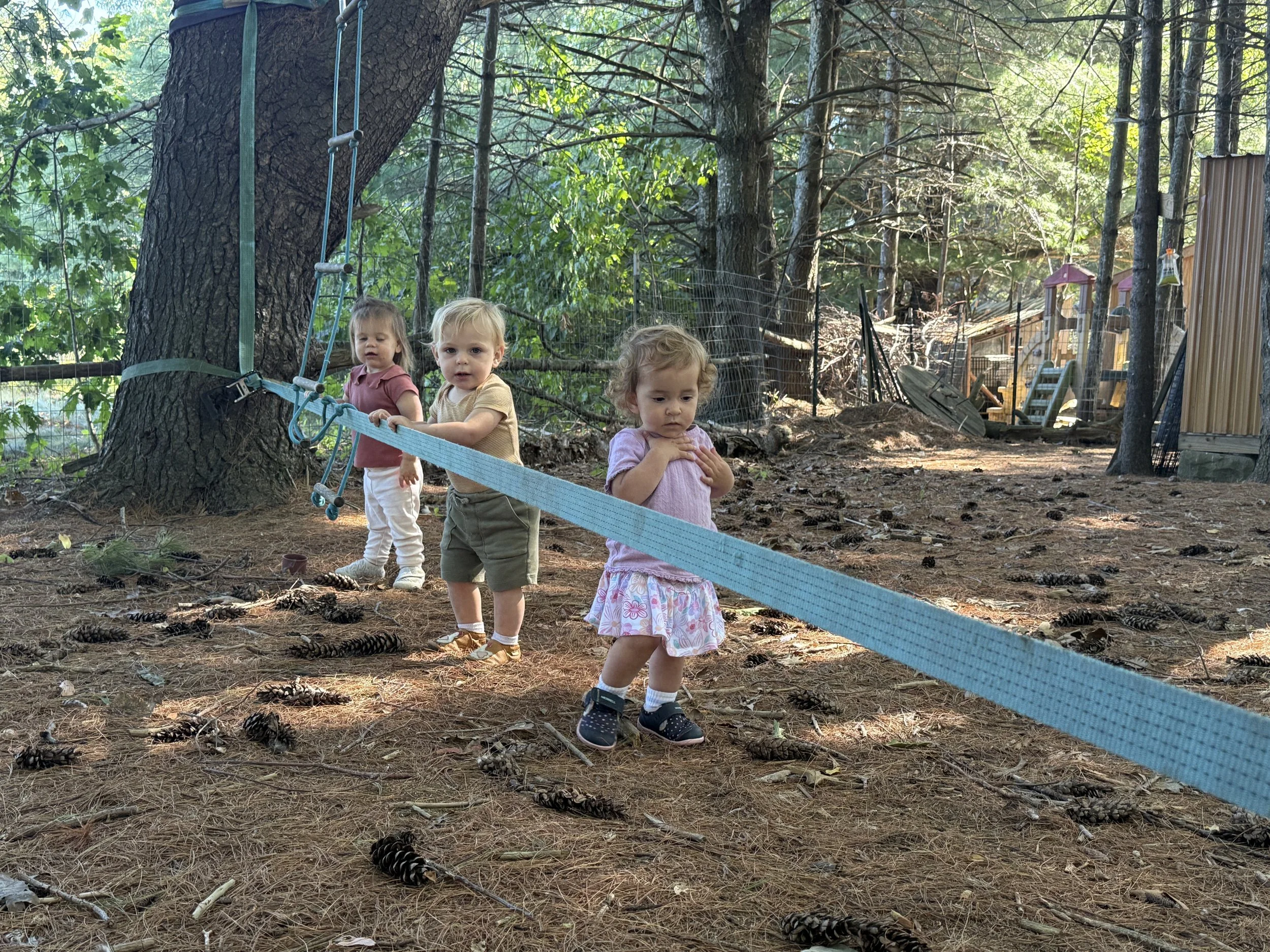 Three young children play in a wooded outdoor area with tall trees, pinecones on the ground, and a wooden shed in the background. They are holding a blue safety barrier or rope.