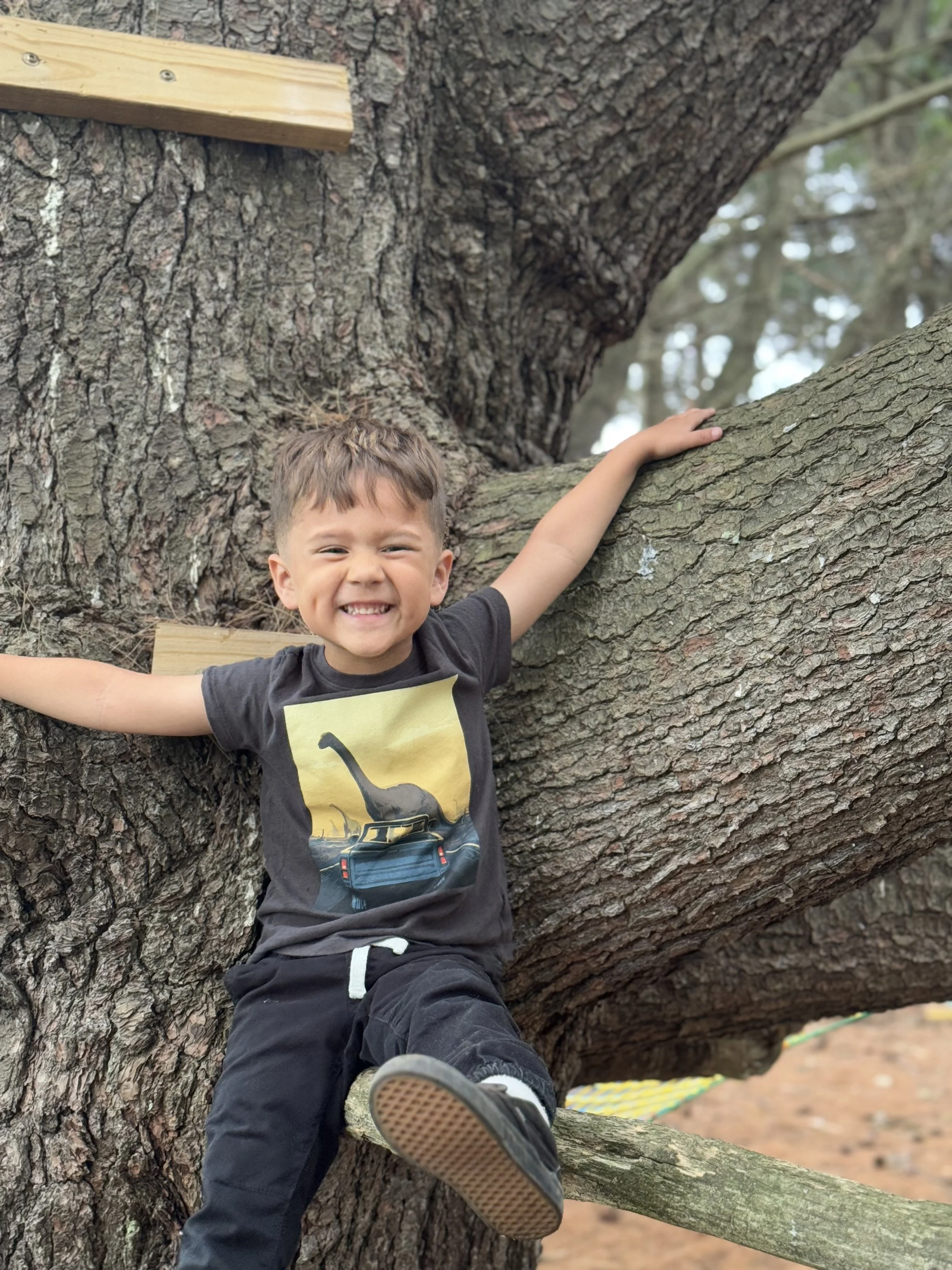 A young boy smiling happily with arms outstretched, climbing and sitting on a large tree in a forested area.