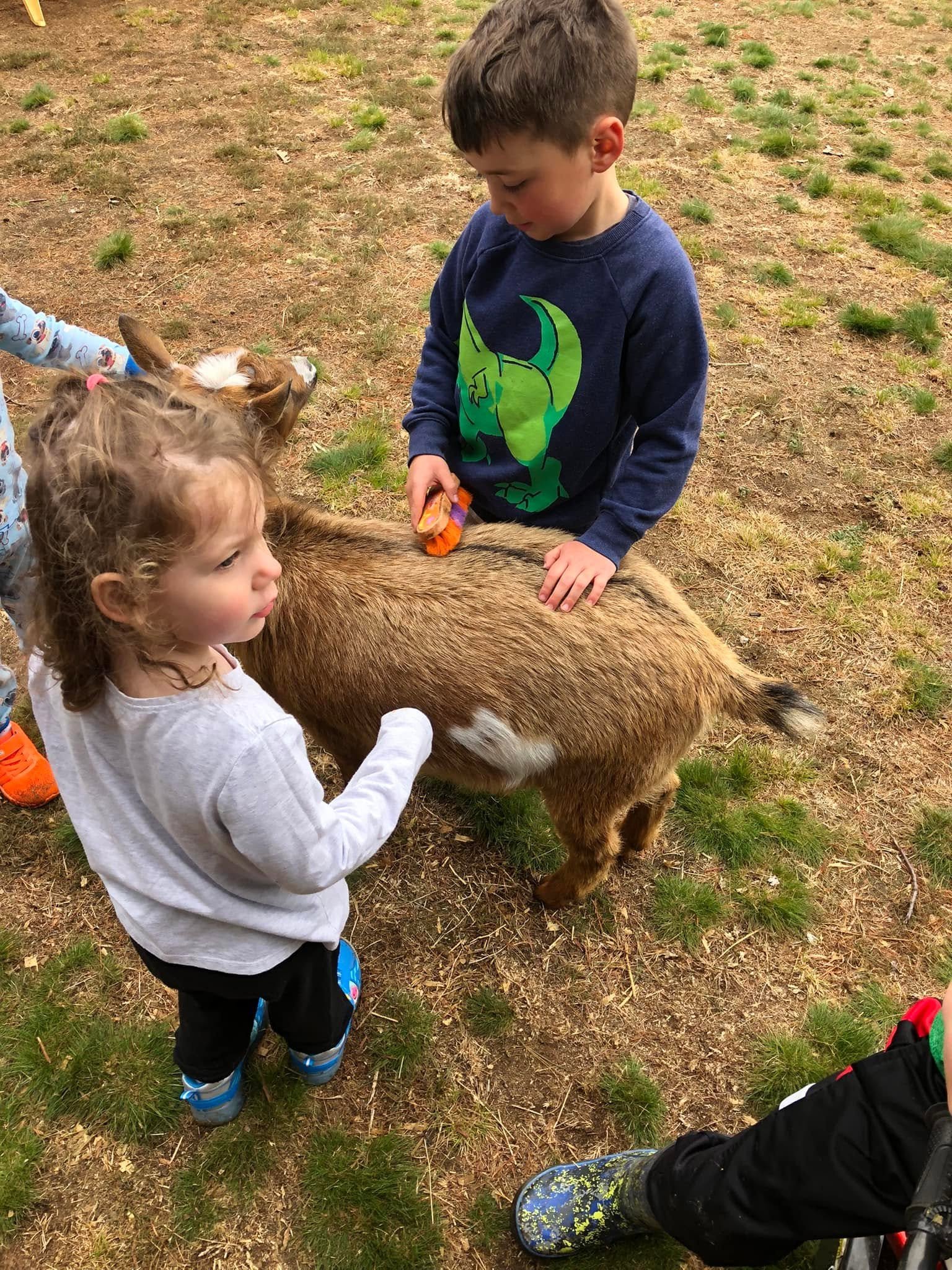 Two children and an adult interacting with a small brown and white goat outdoors. The children are dressed in casual clothing suitable for cool weather. The ground is a mix of grass and dirt.