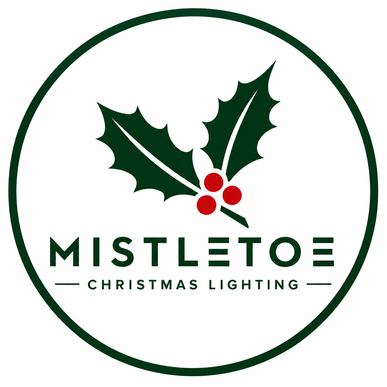 Mistletoe Christmas Lights 