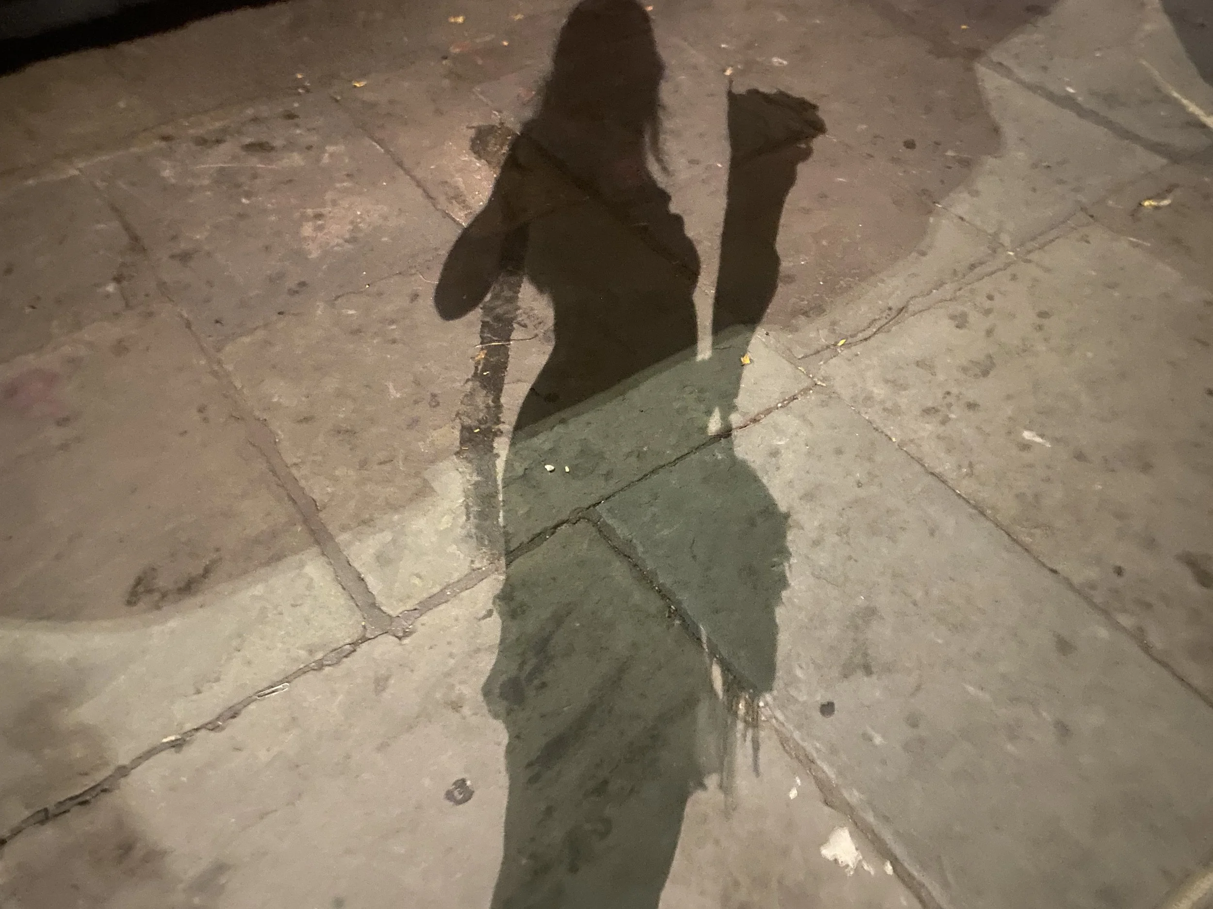 Shadow of a person walking on a paved sidewalk at night.
