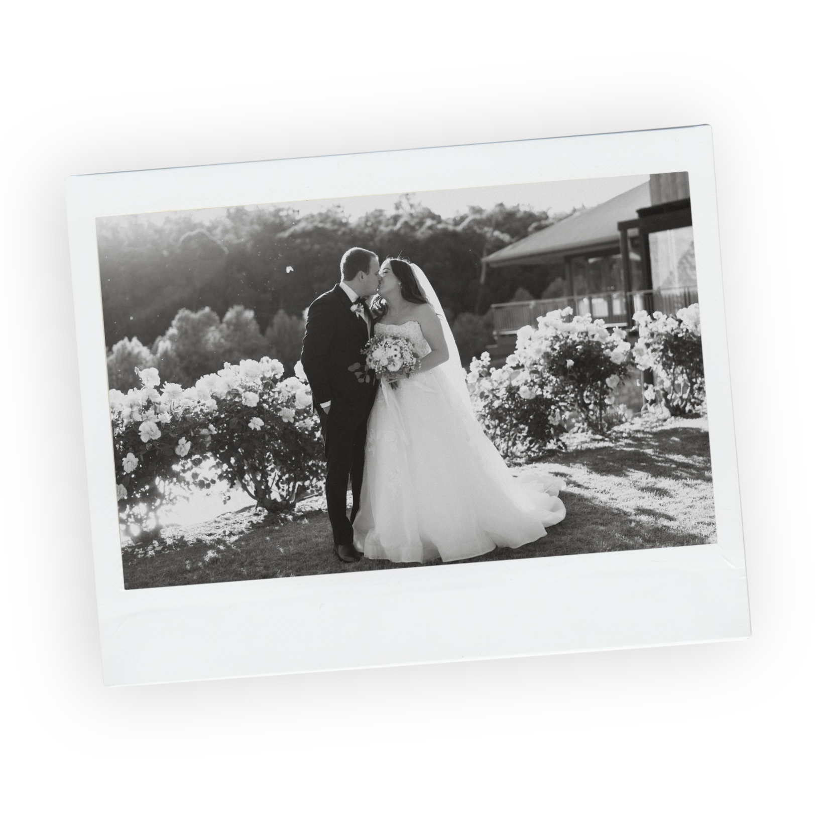 Black and white photo of bride and groom kissing in a rose garden