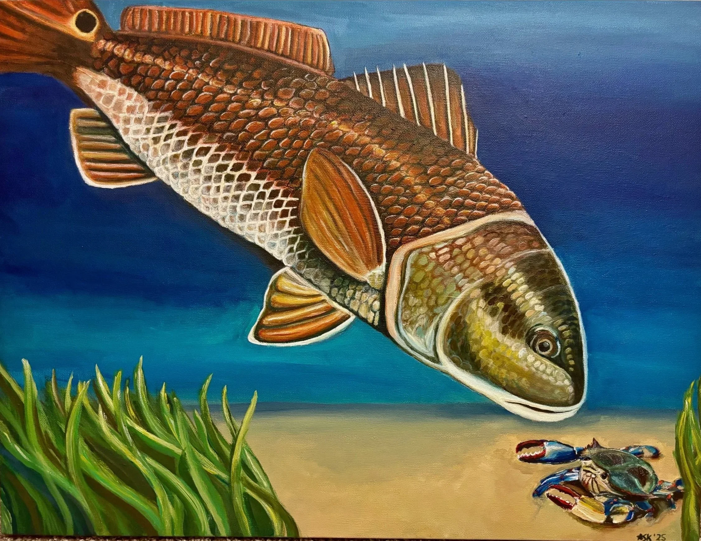 Redfish Blue Crab