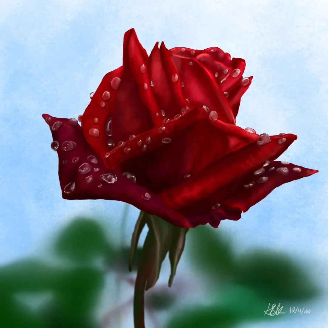Rose