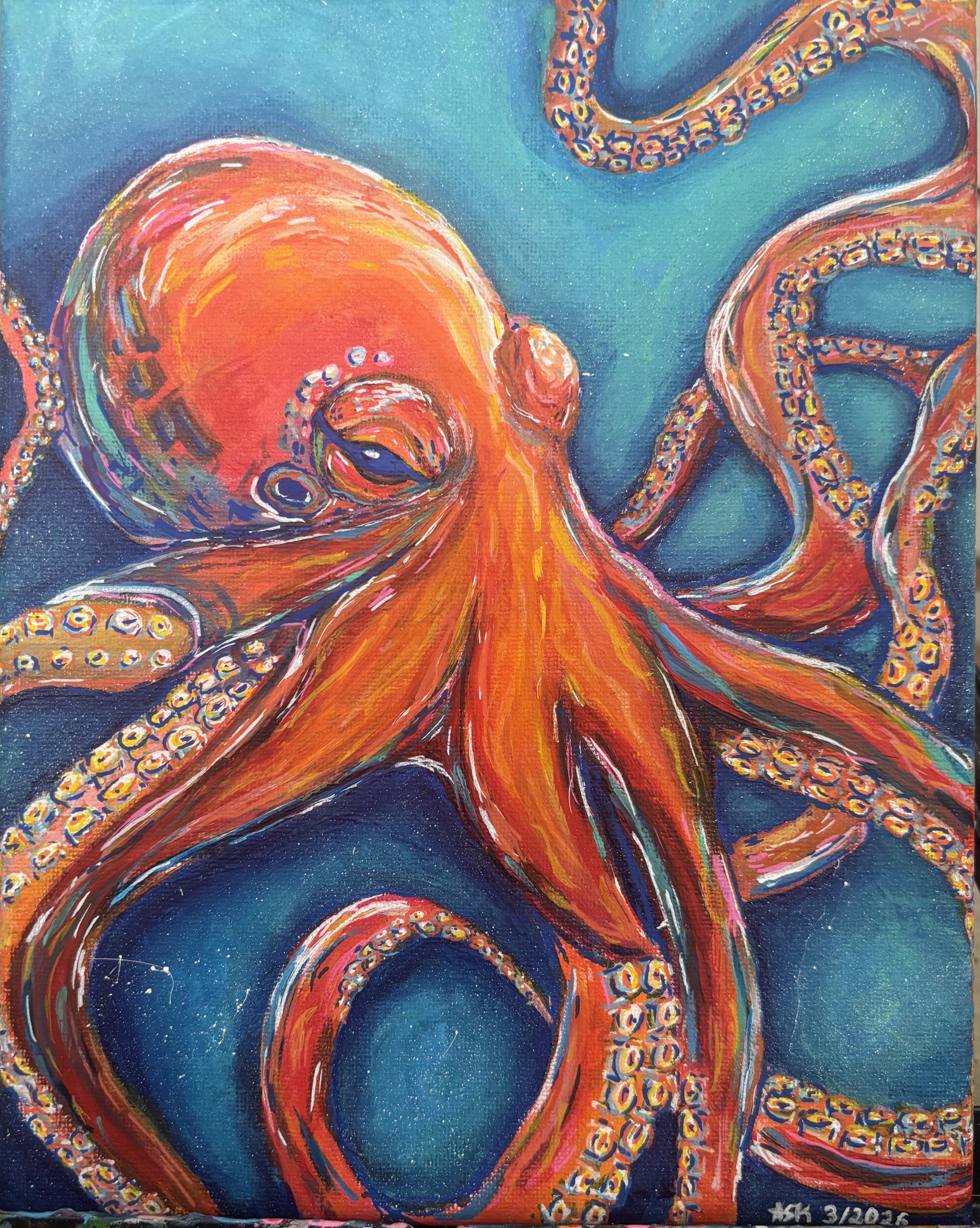 Octopus