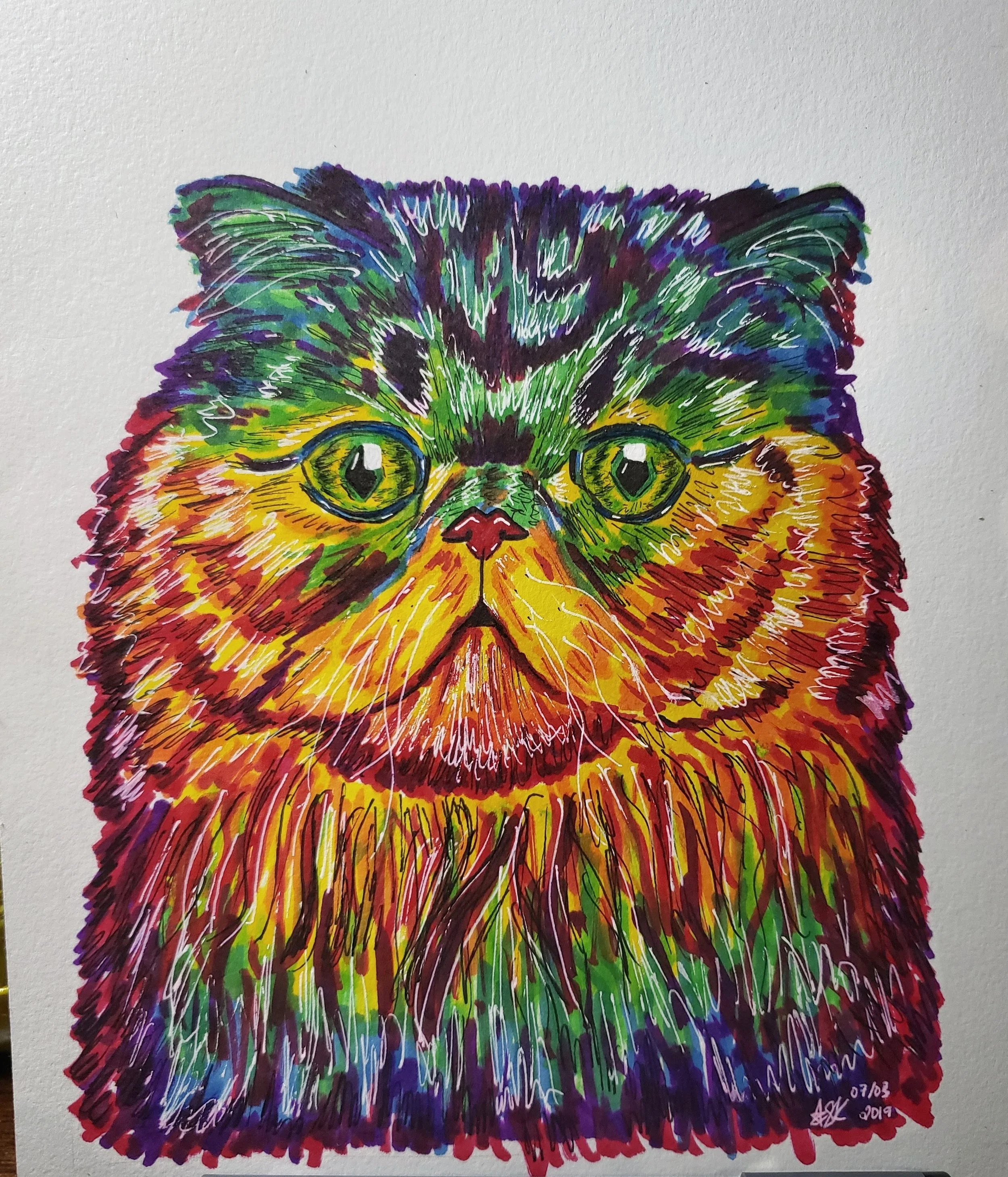 Persian Cat