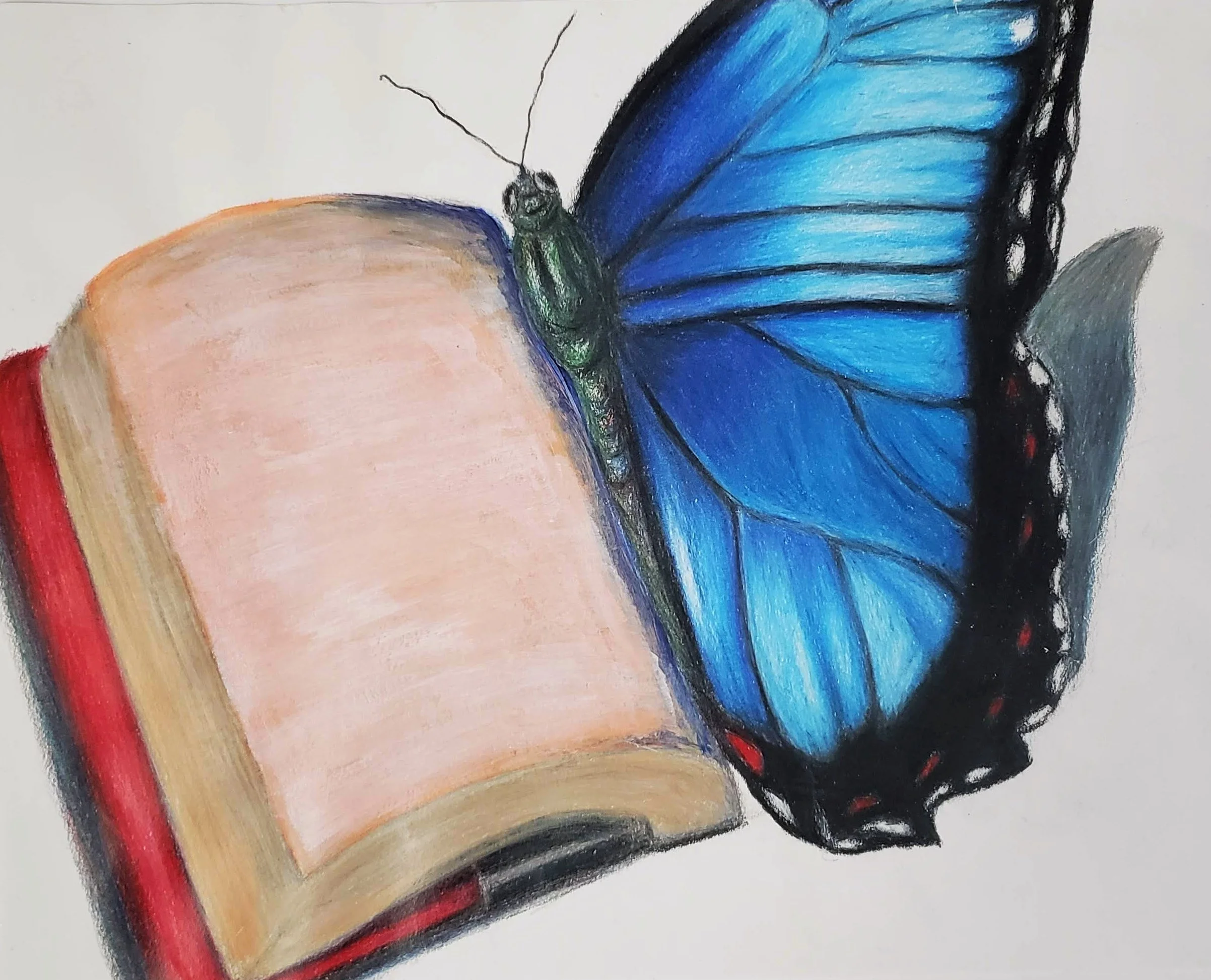 Metamorphosis