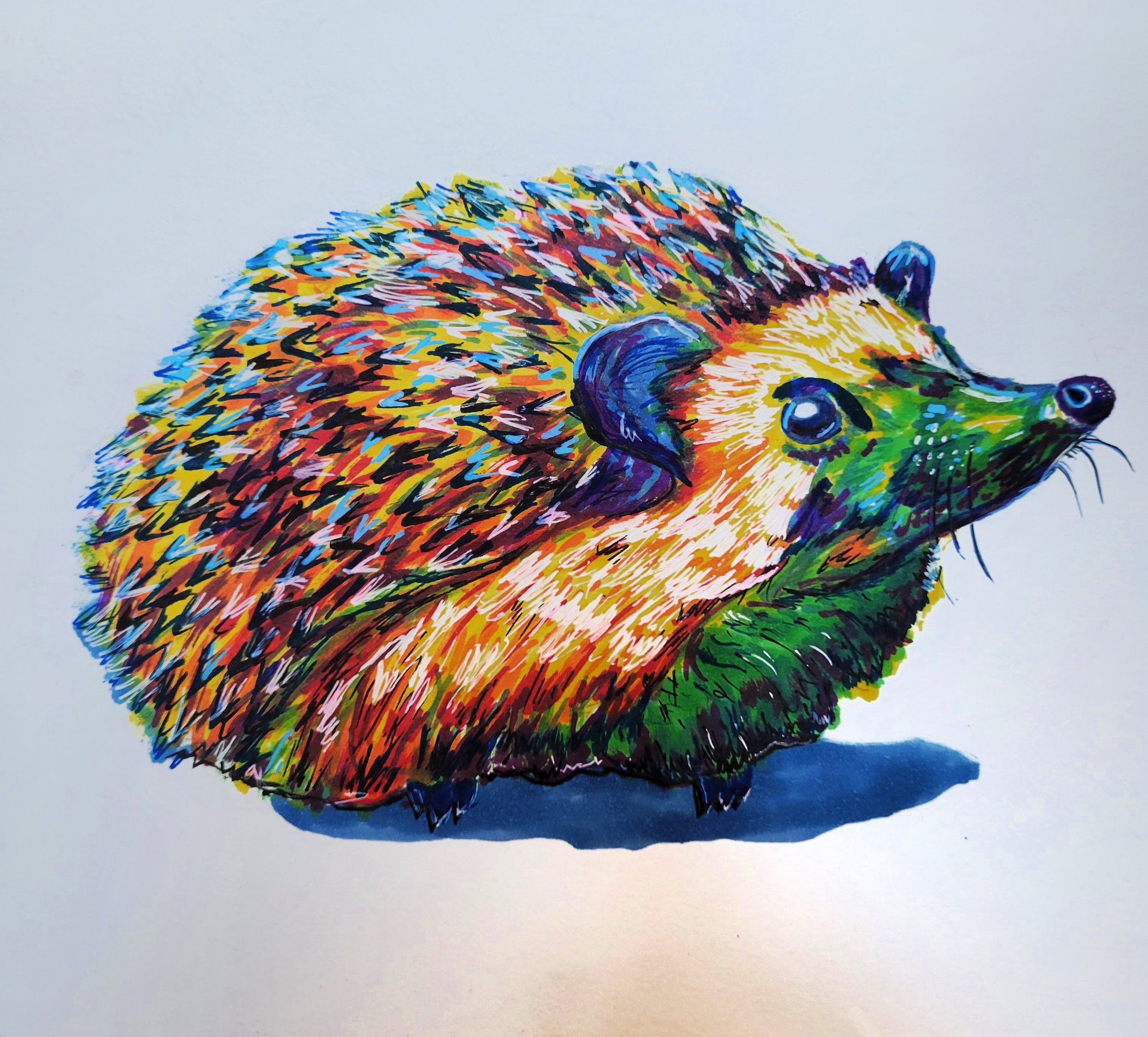 Hedgehog