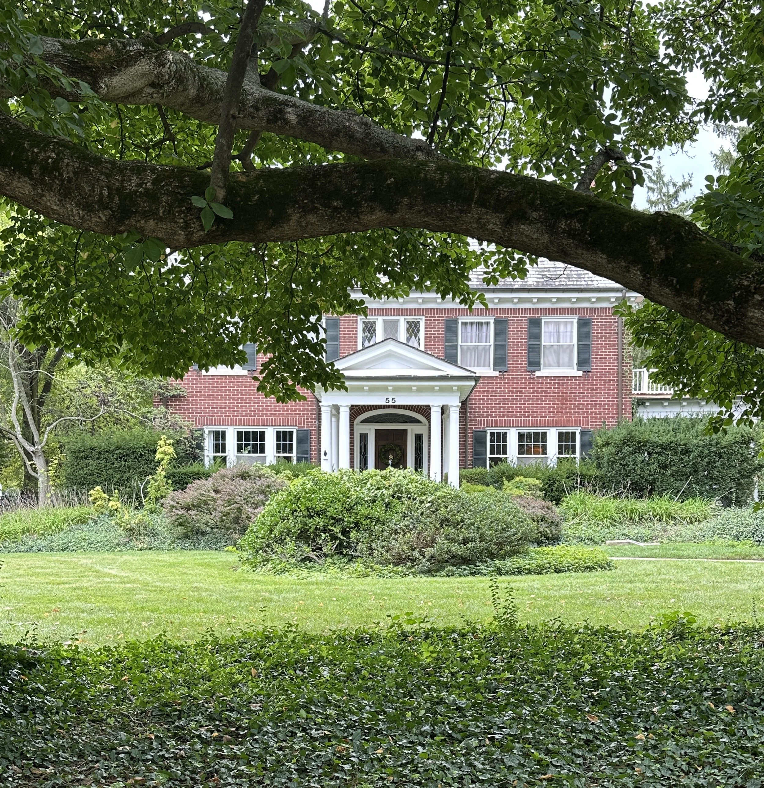 The Front Yard: Starting Over