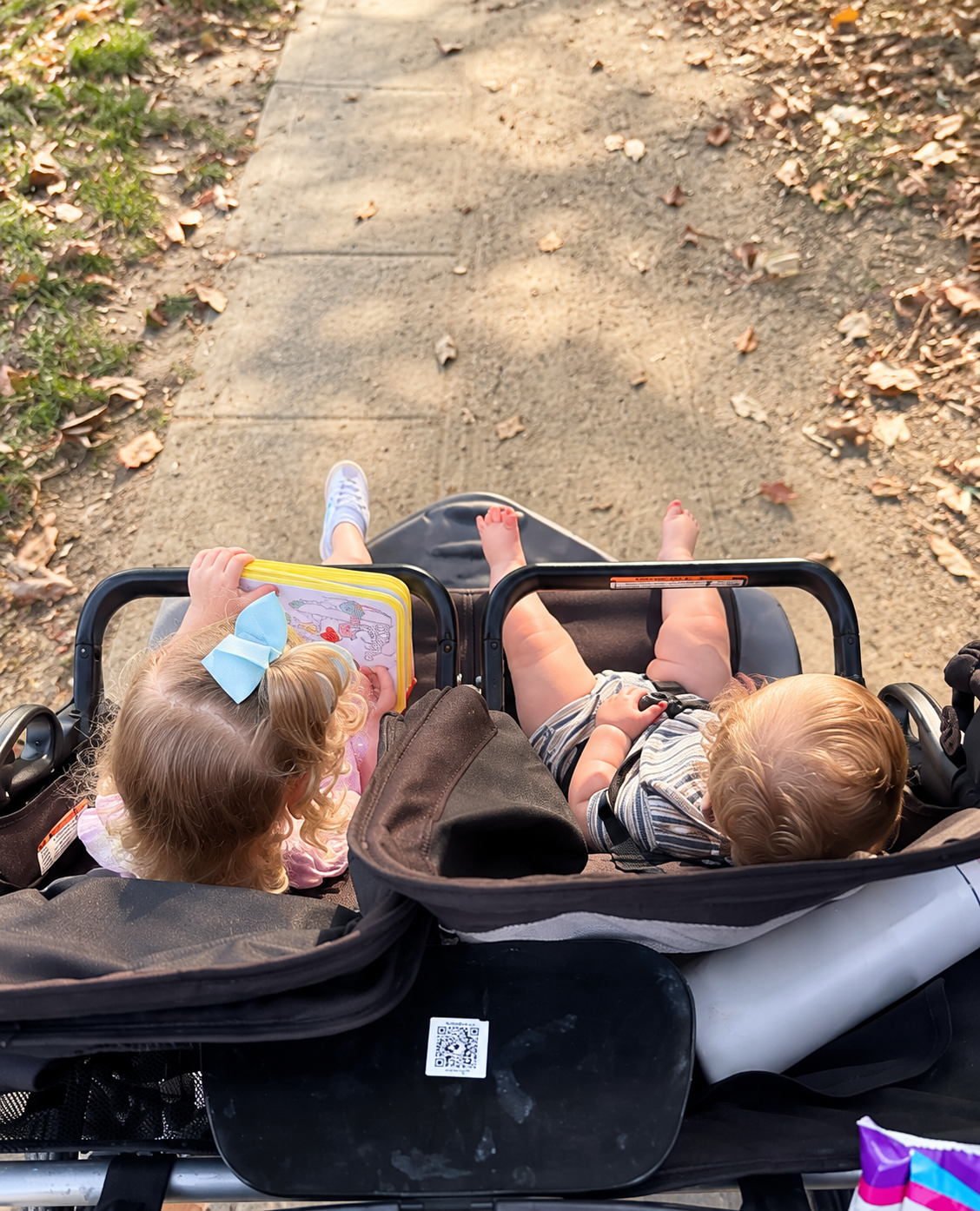 wo young children riding together in a stroller on a fall walk.