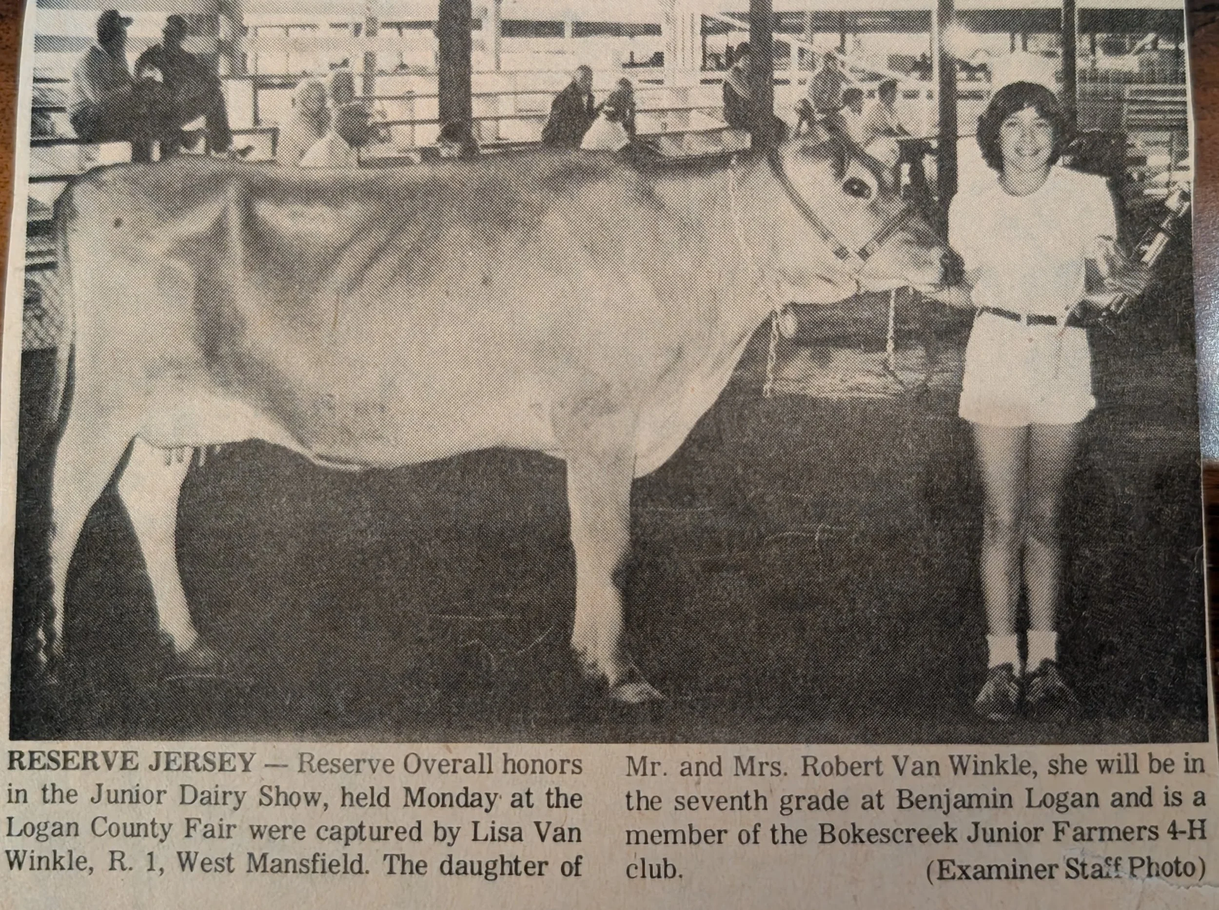 Black and white photo of a girl with a dairy cow at a county fair, with people in the background, and newspaper caption describing the event and awards.