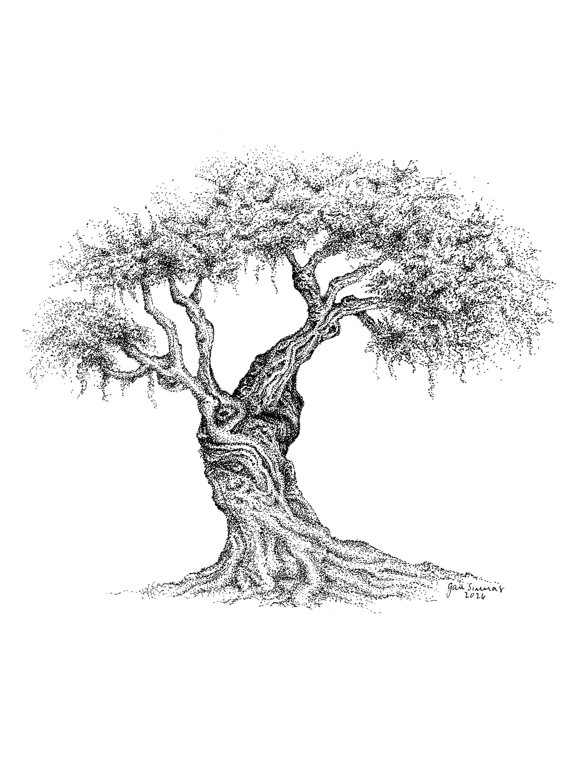 OliveTree-detail.jpg